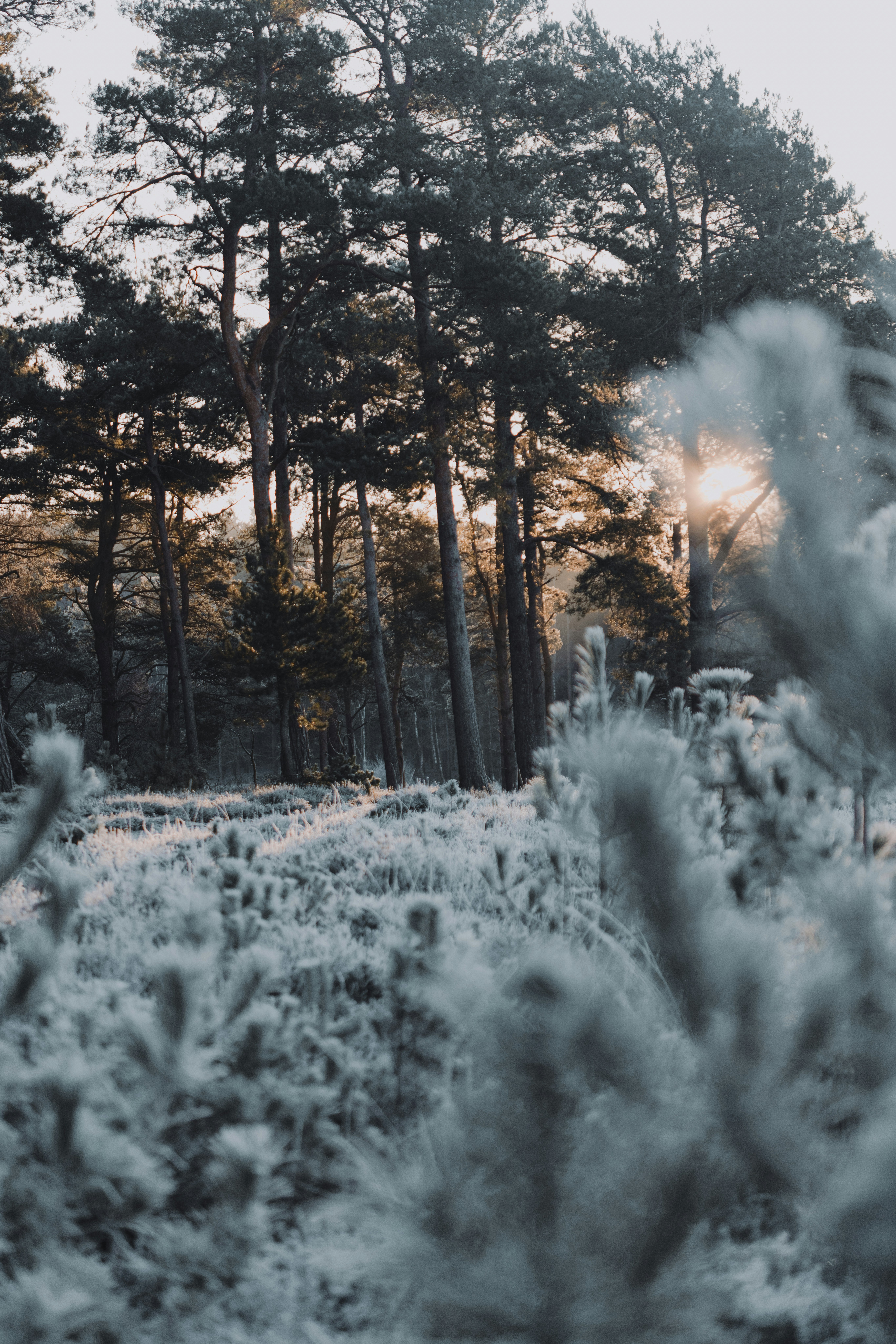 Photo by anniespratt