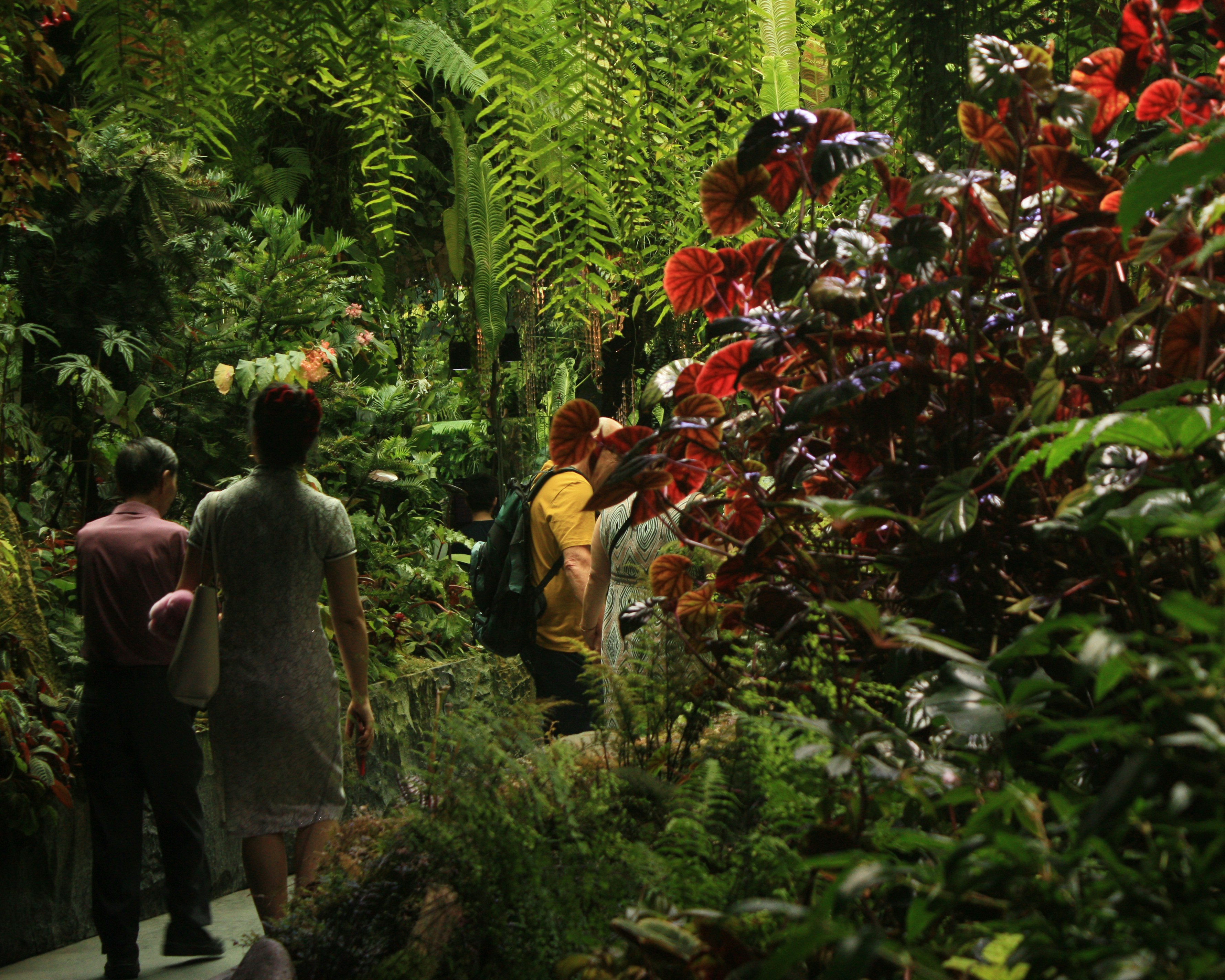 A group of people walking through a lush green forest photo – Free ...