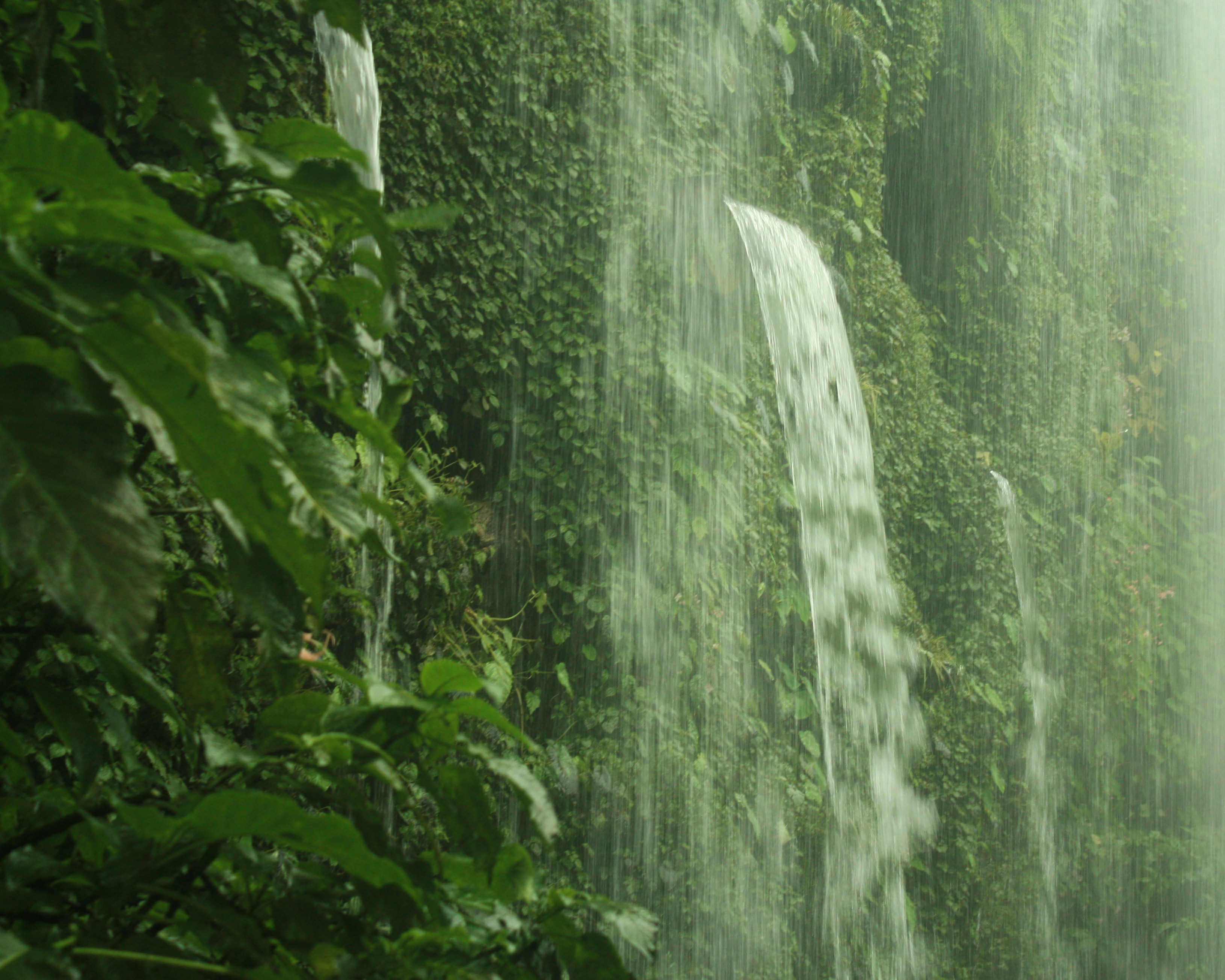 A waterfall in the middle of a lush green forest