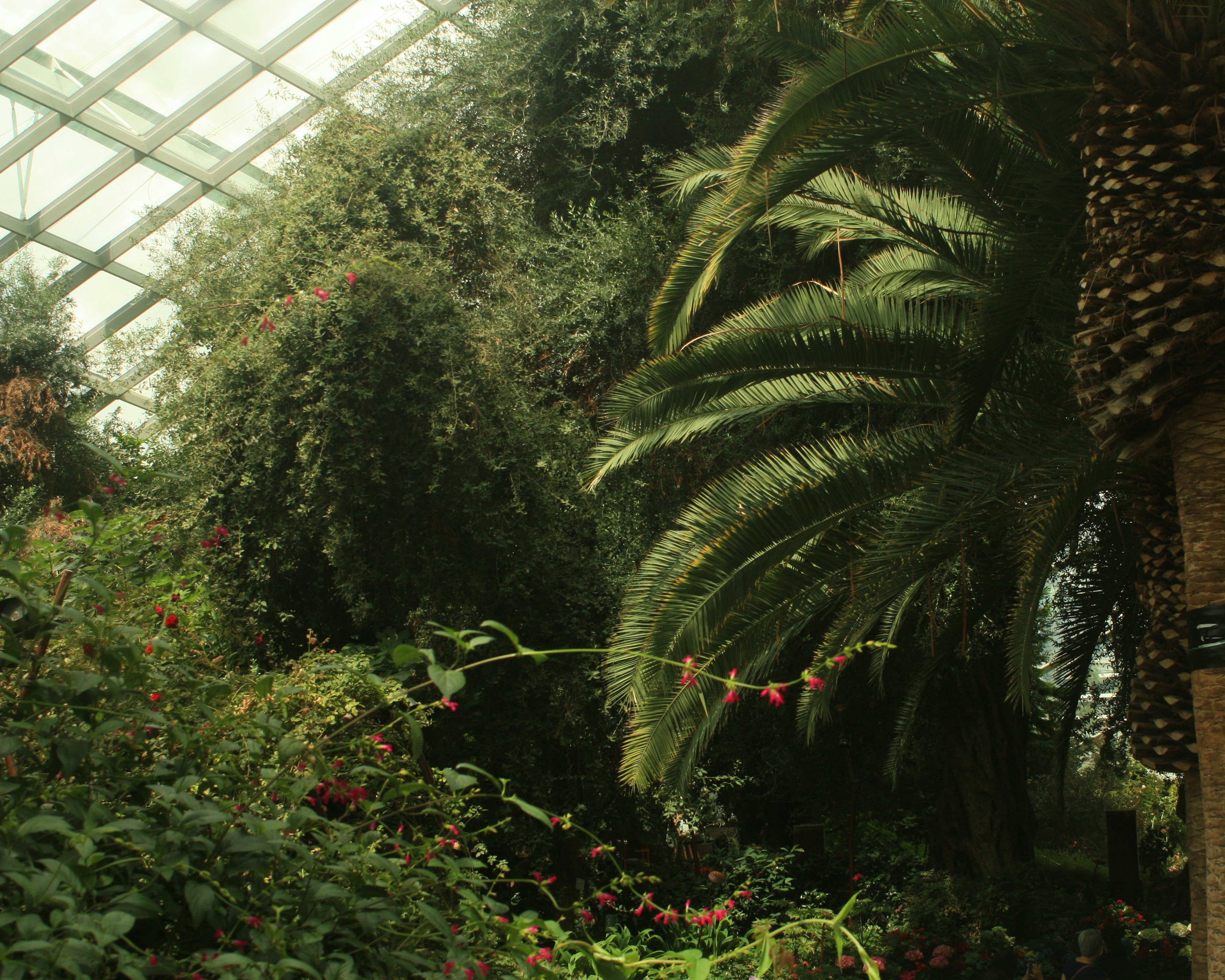 Fairchild Tropical Gardens Montgomery Library
