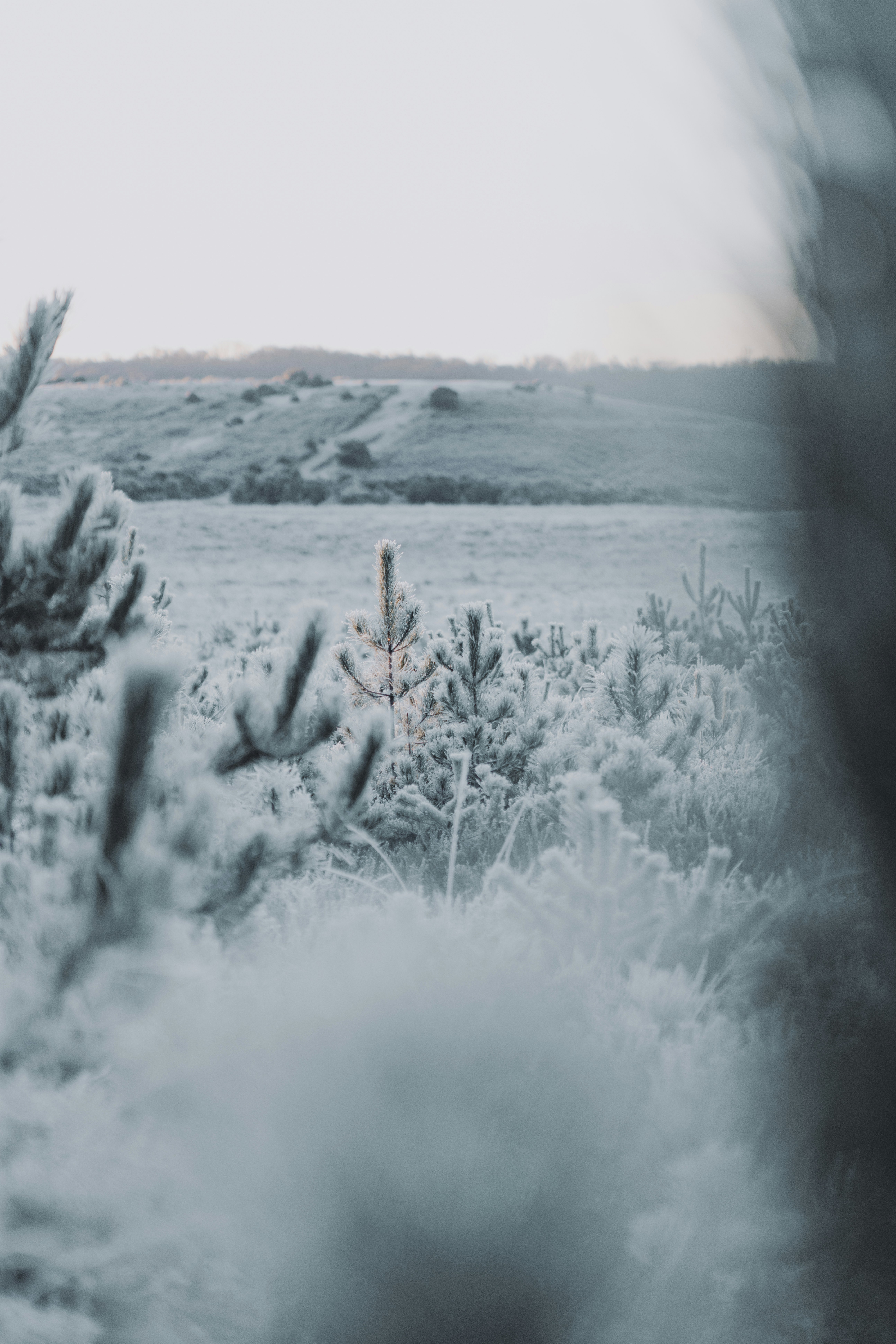 Photo by anniespratt