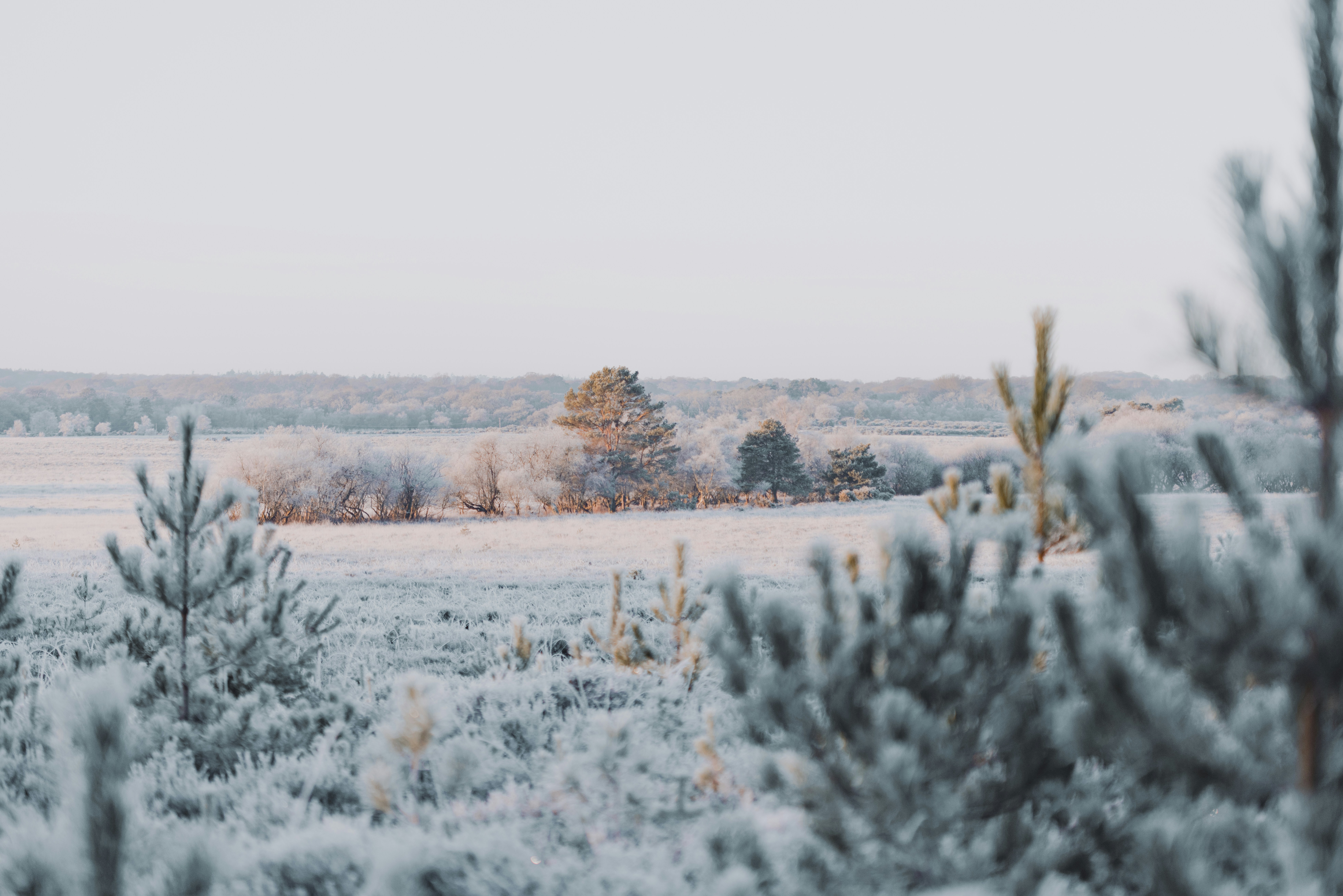 Photo by anniespratt