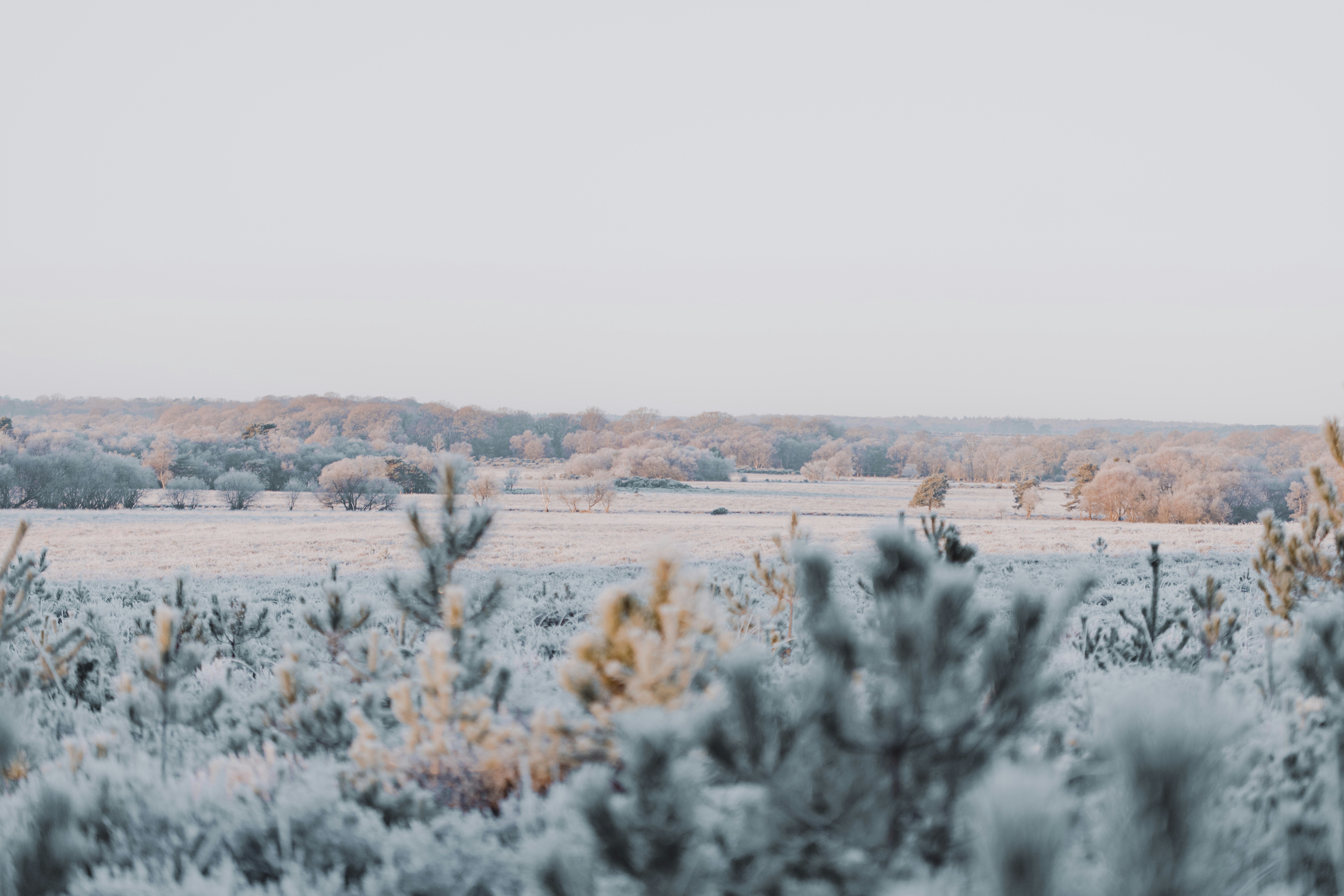 Photo by anniespratt