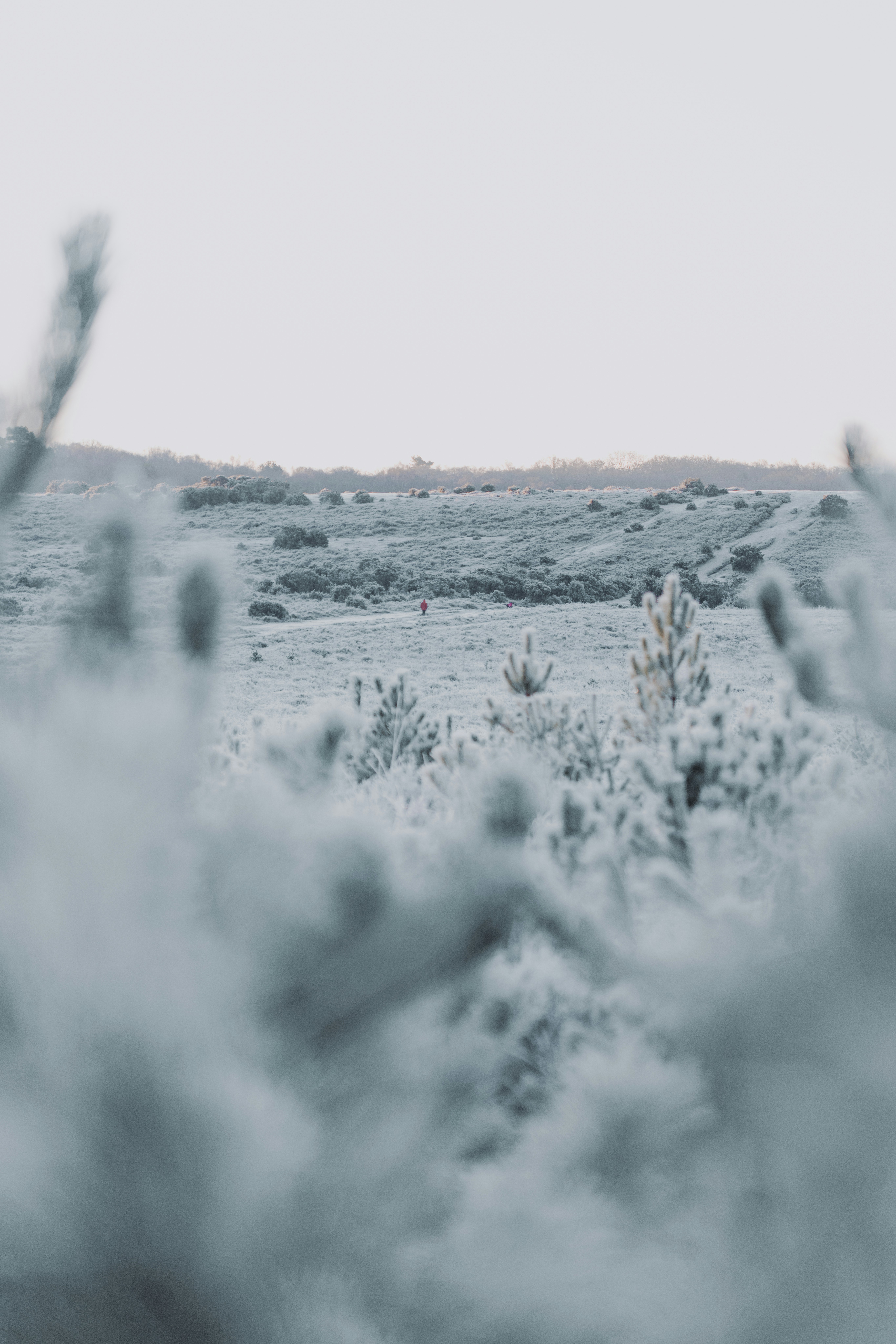 Photo by anniespratt