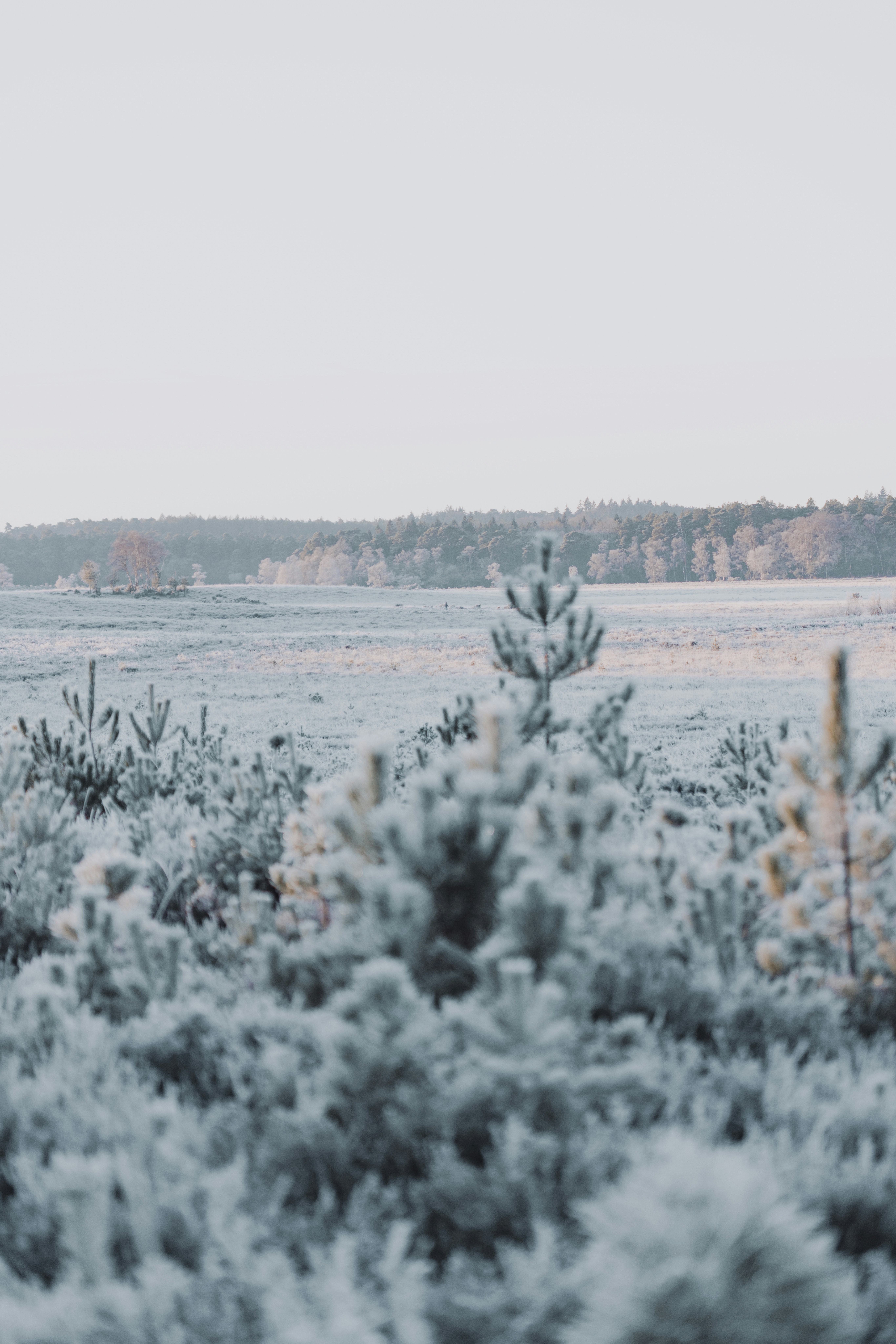 Photo by anniespratt