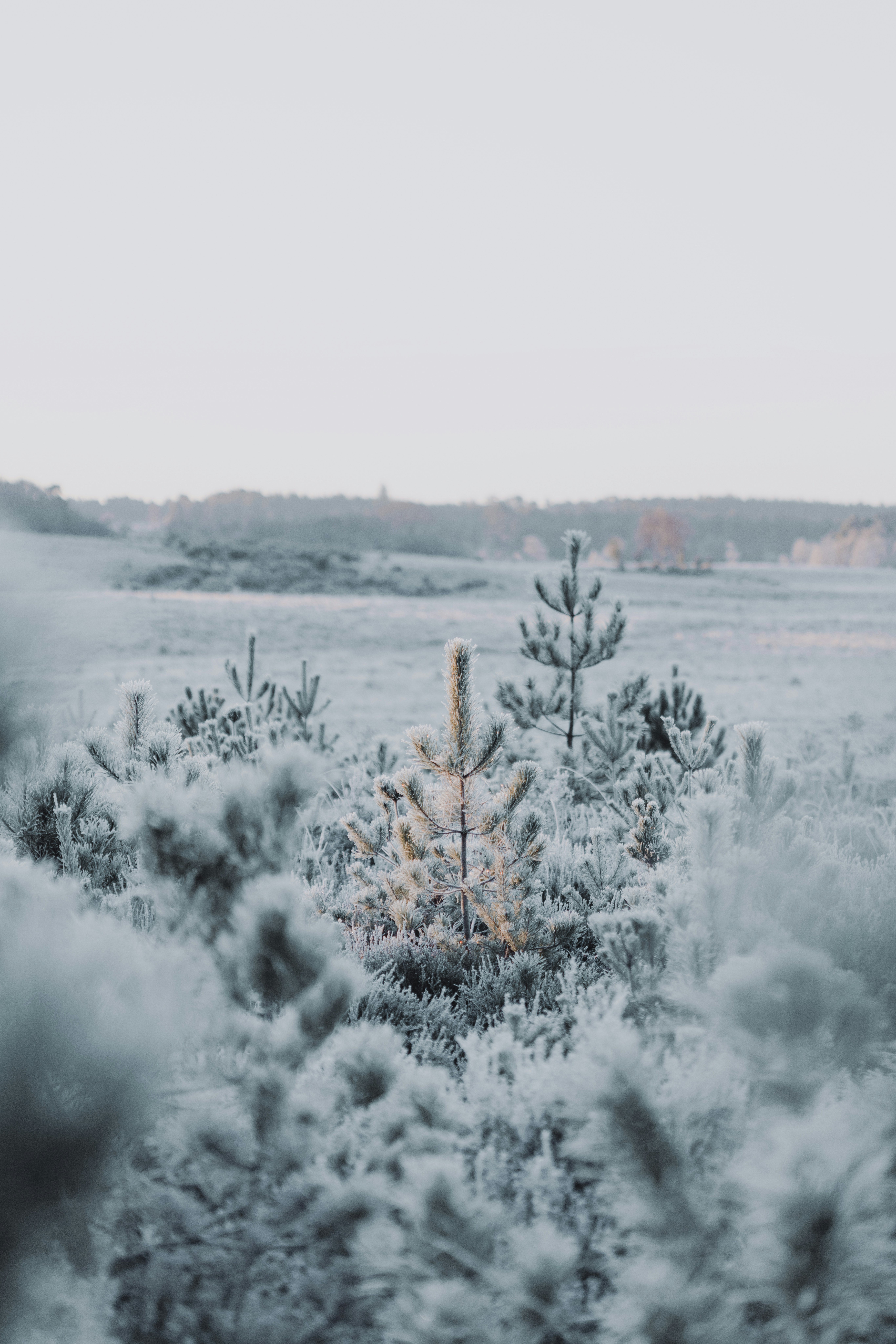 Photo by anniespratt