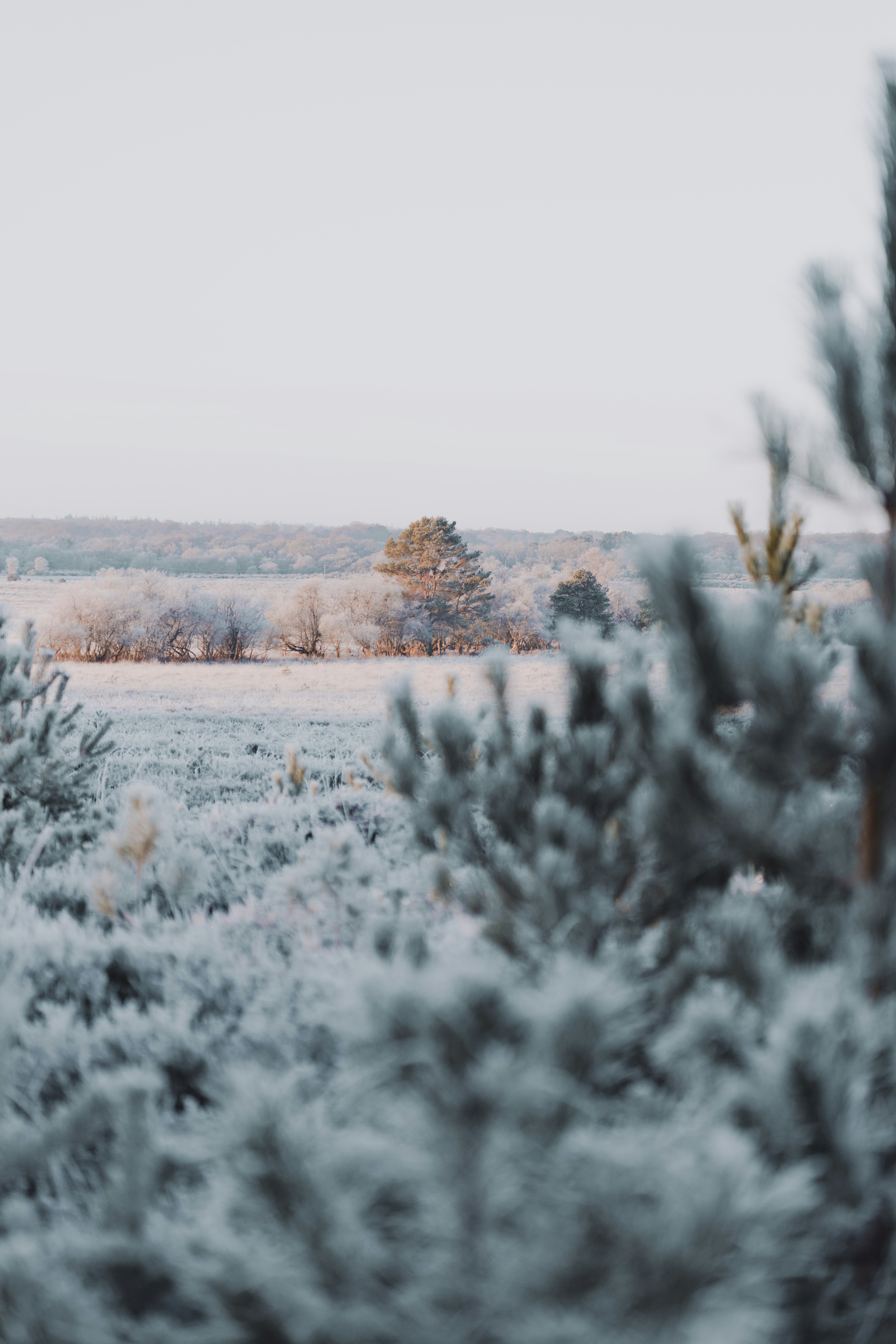 Photo by anniespratt