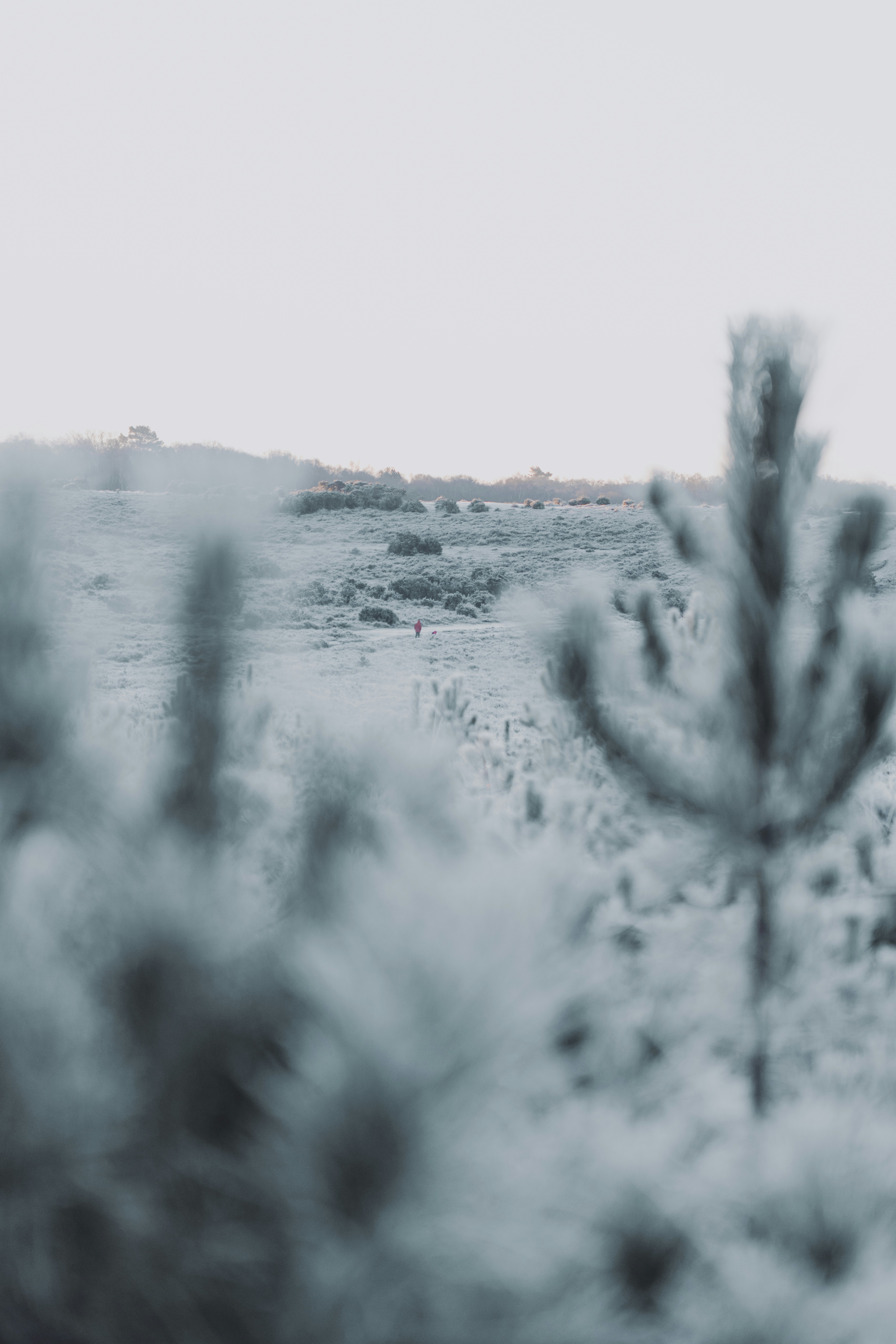 Photo by anniespratt