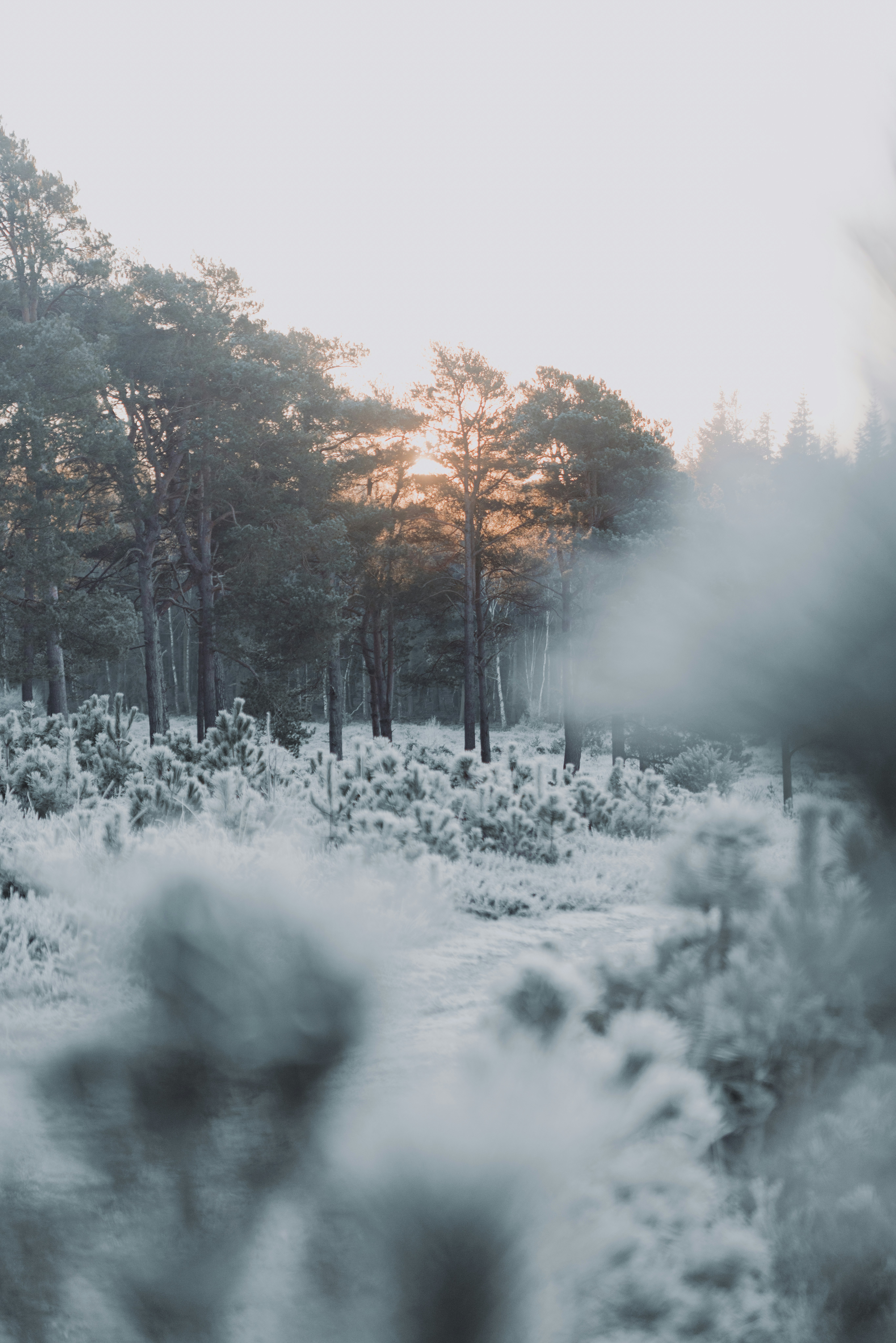 Photo by anniespratt