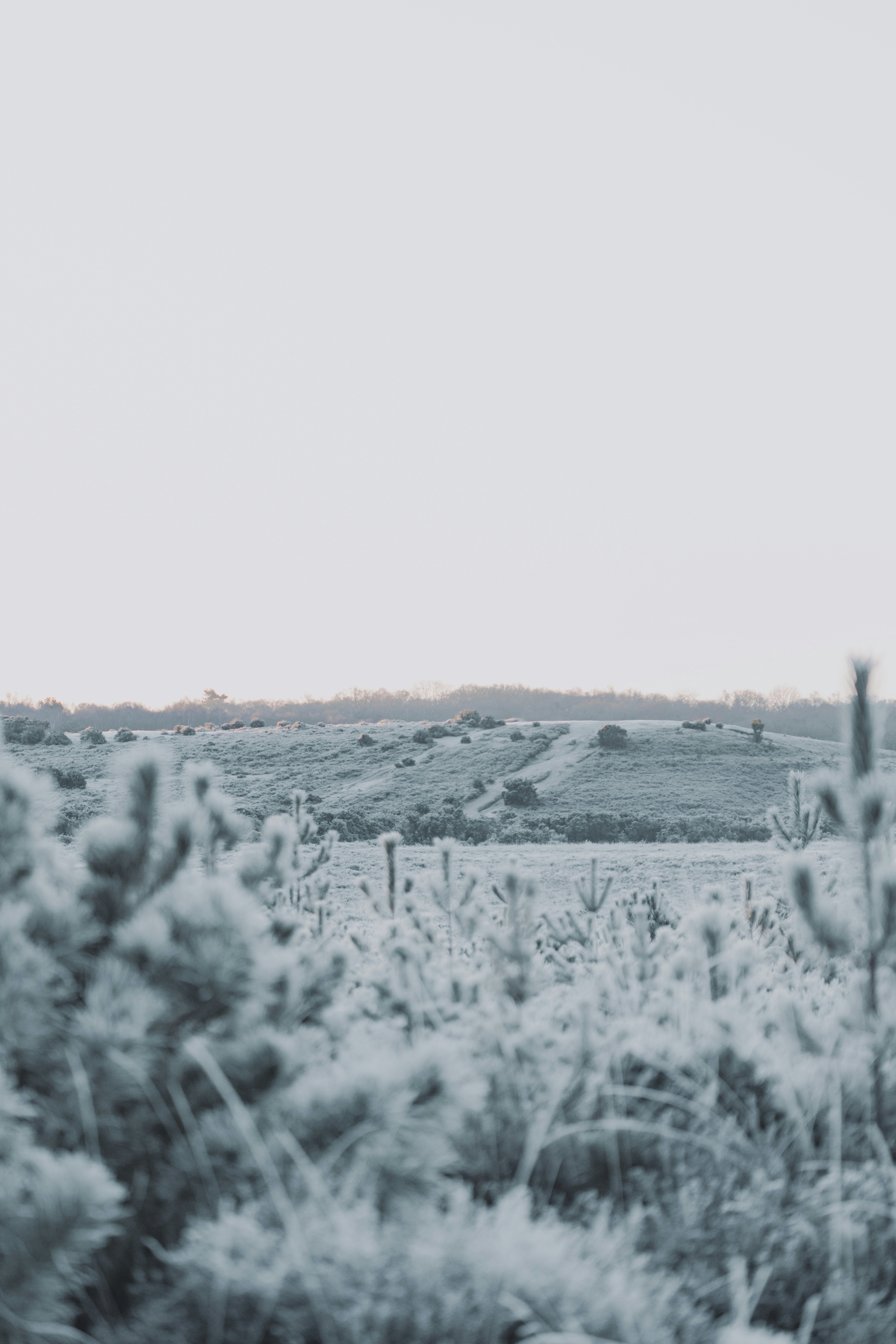 Photo by anniespratt