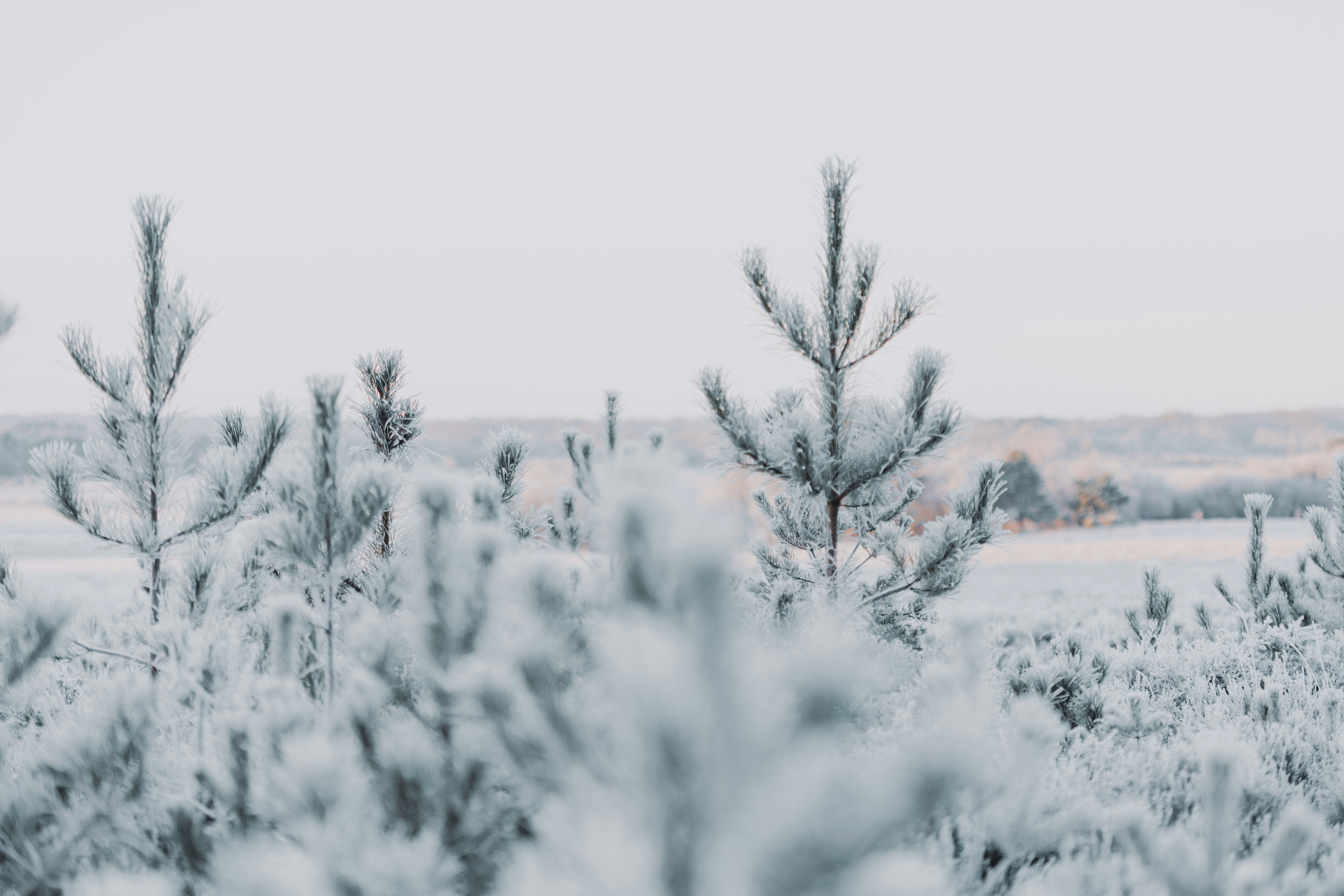 Photo by anniespratt