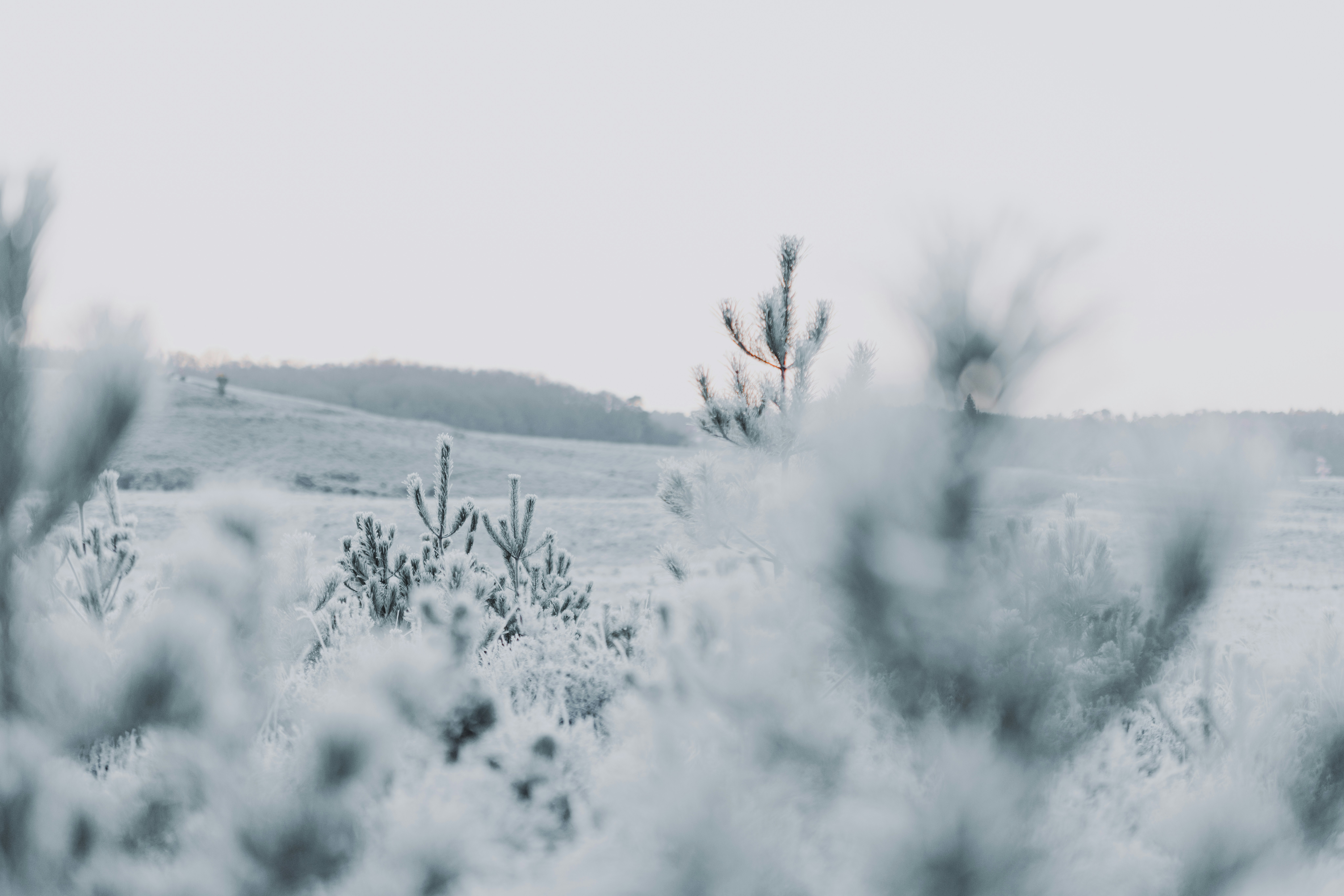 Photo by anniespratt