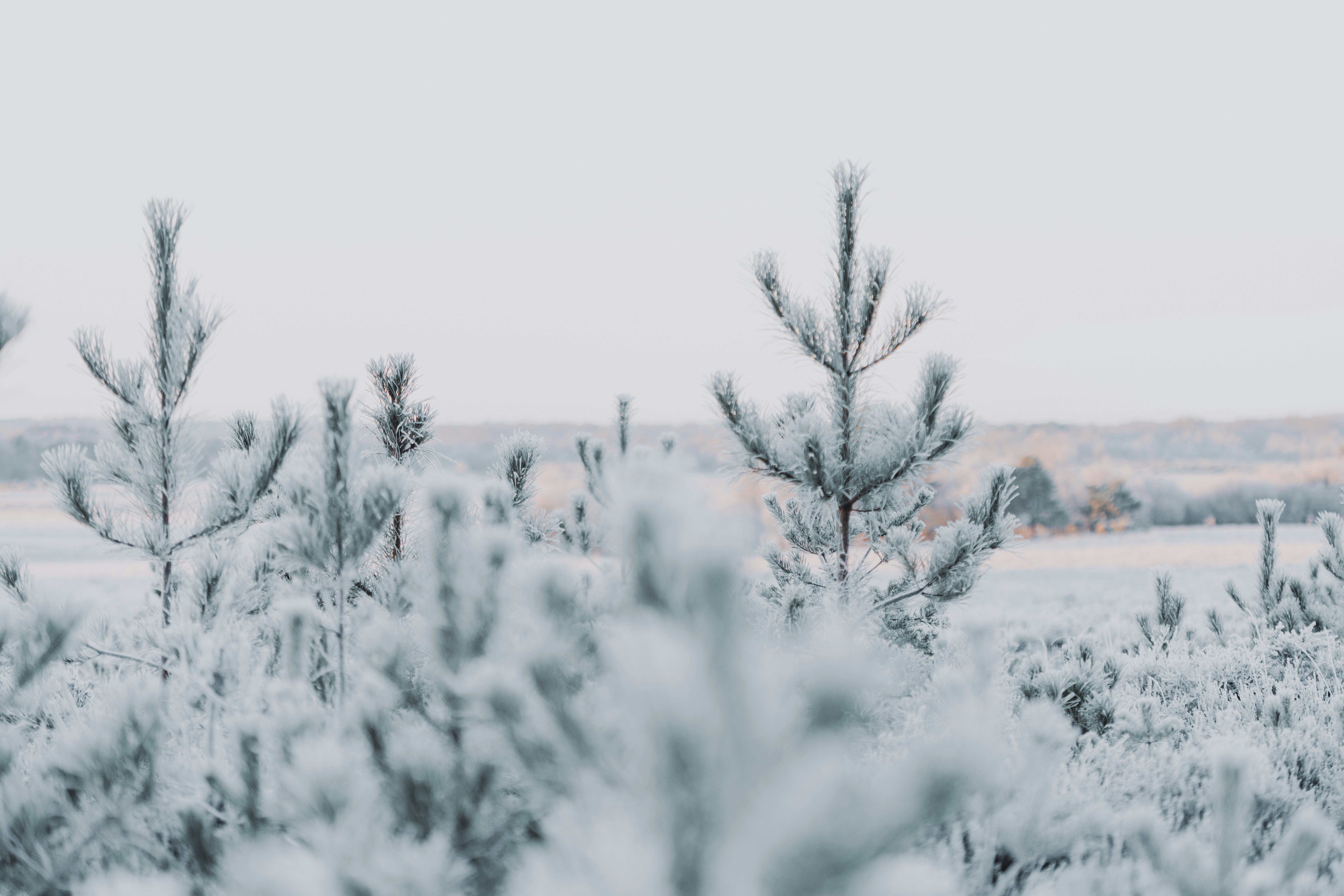 Photo by anniespratt