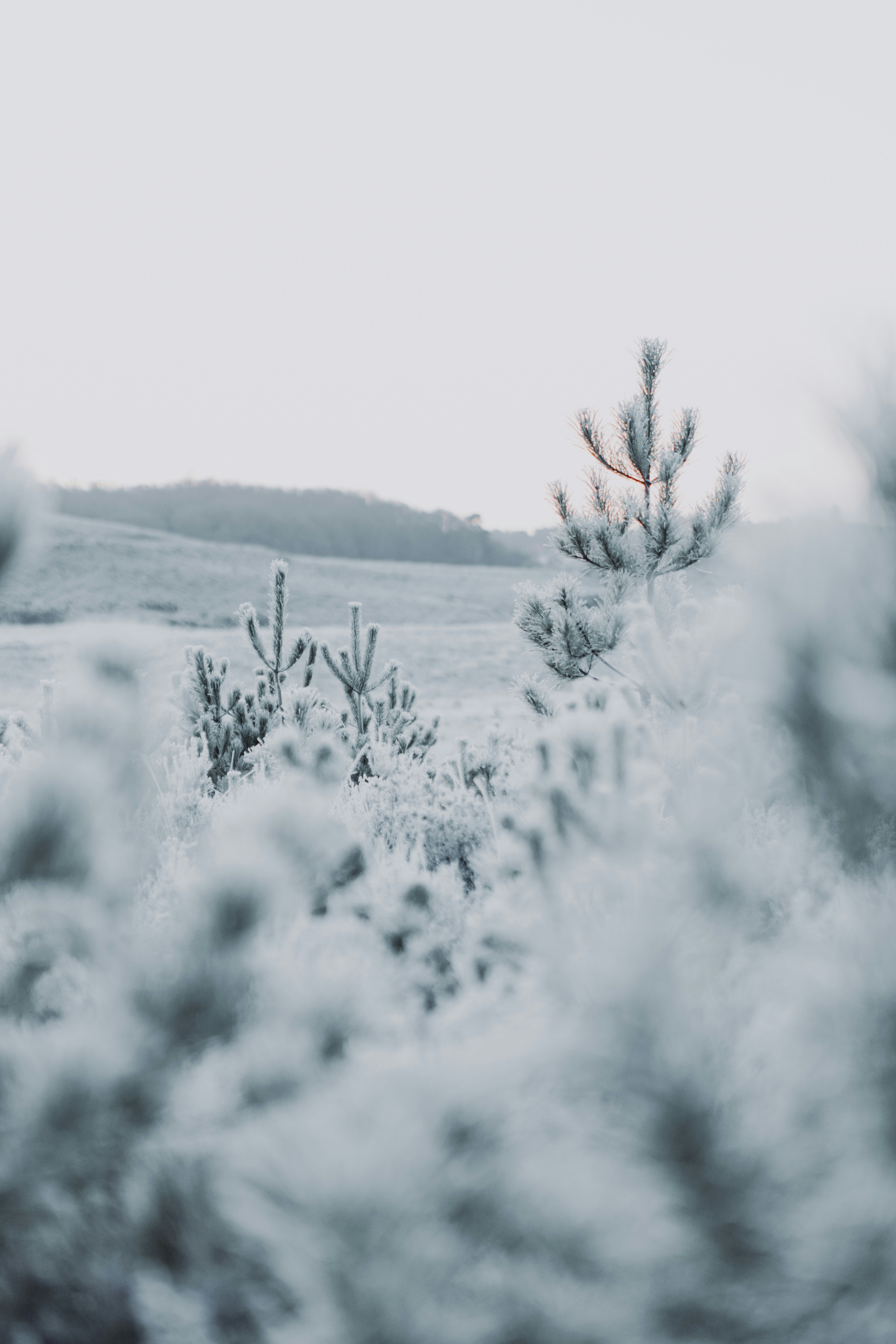 Photo by anniespratt