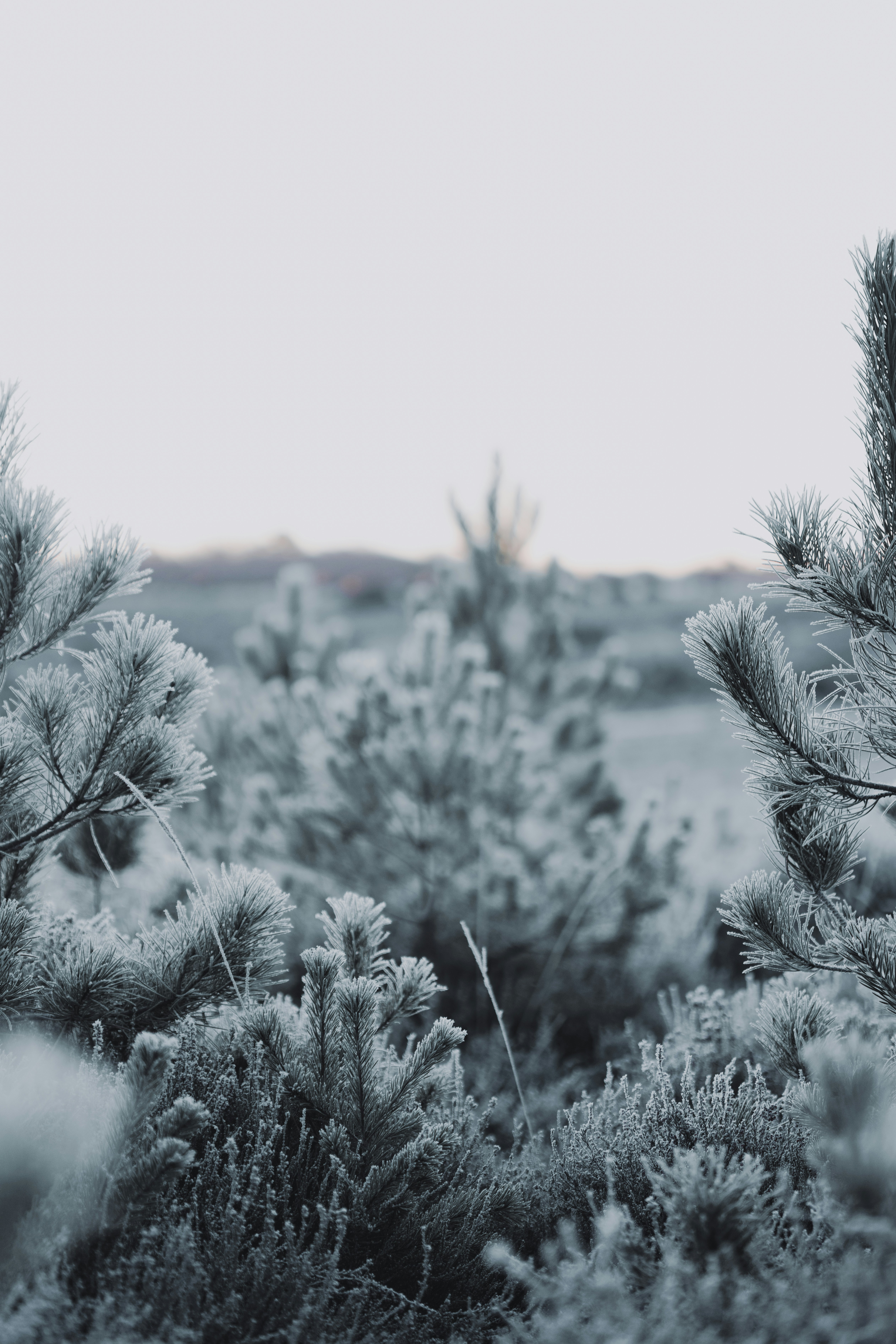 Photo by anniespratt