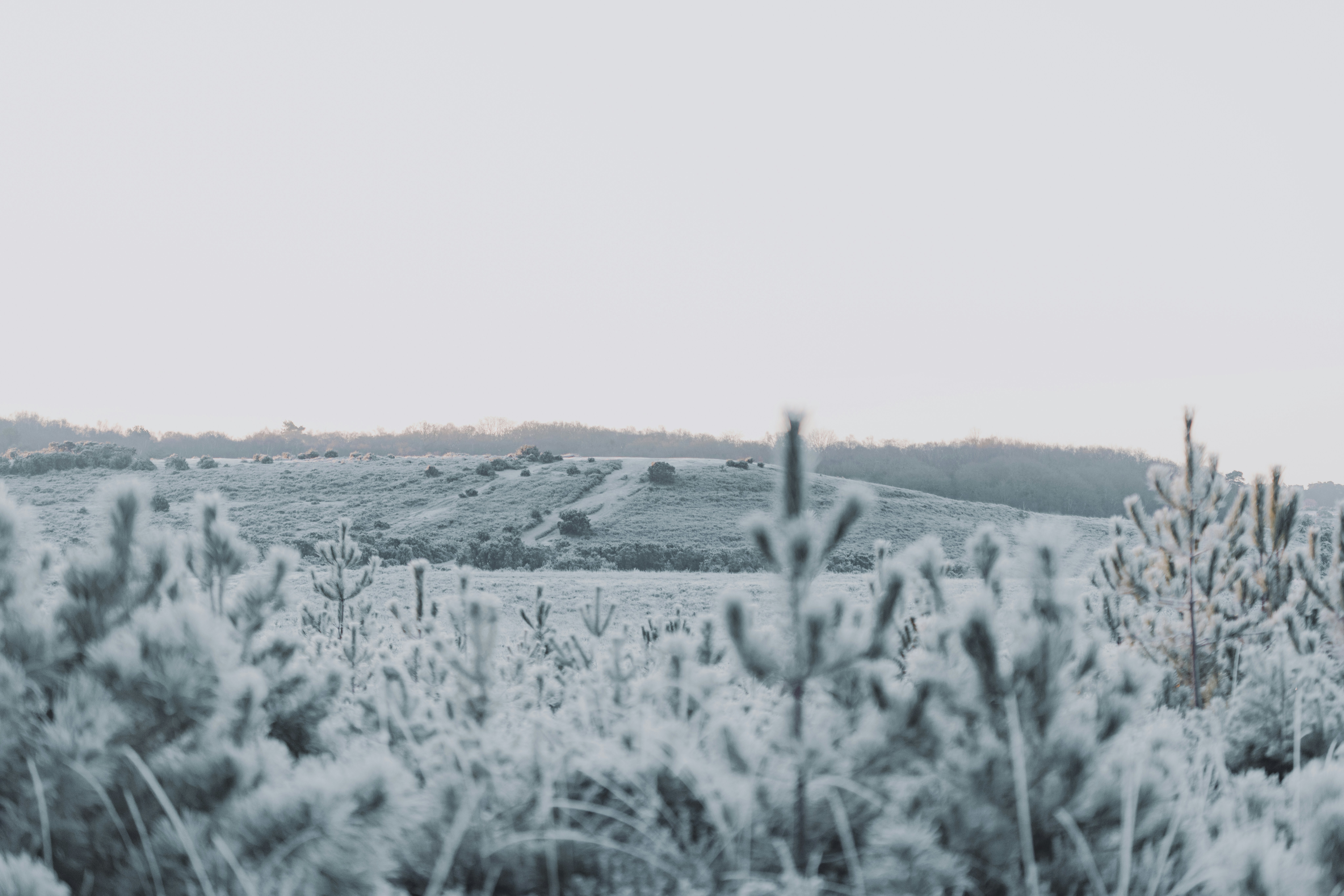 Photo by anniespratt