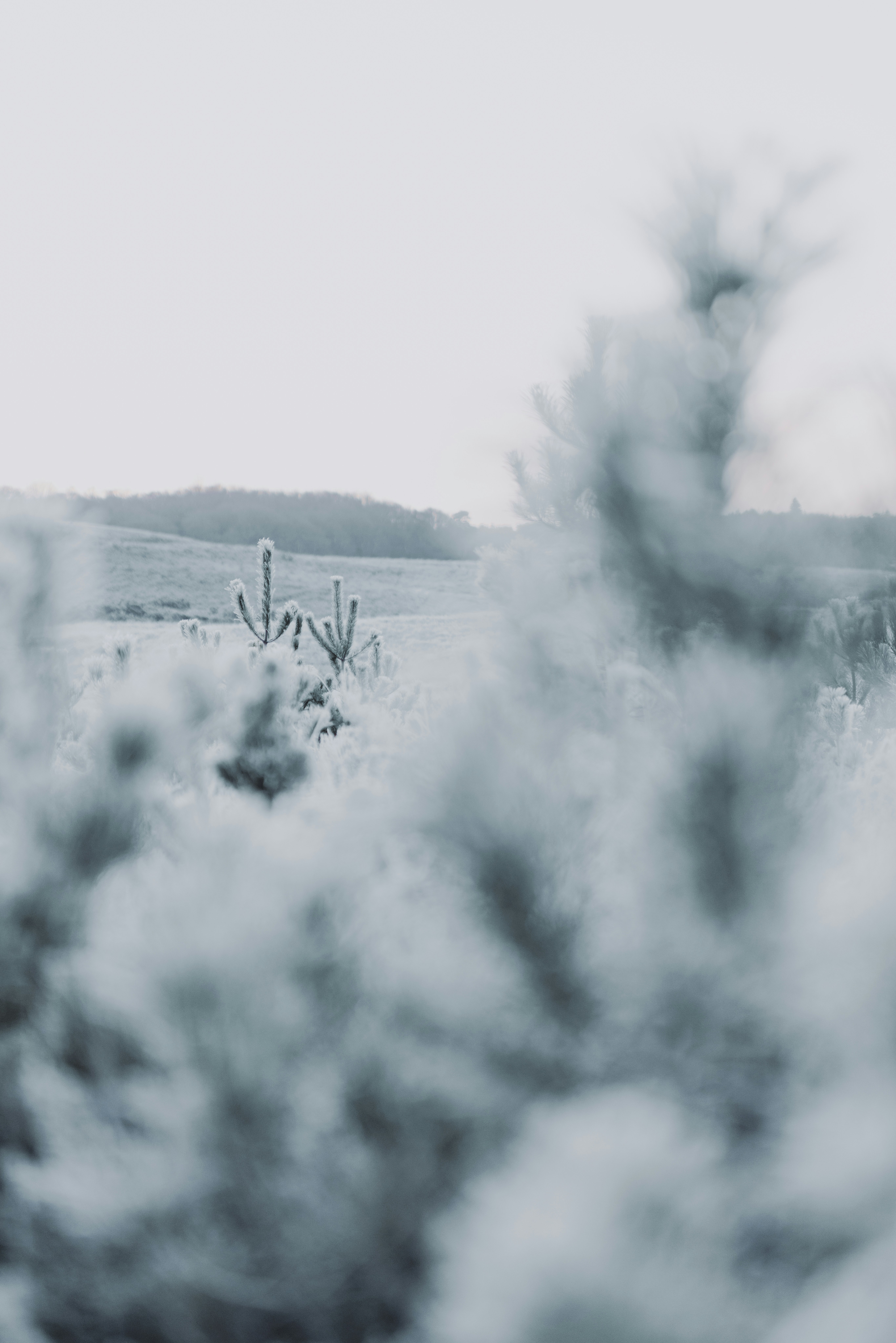 Photo by anniespratt