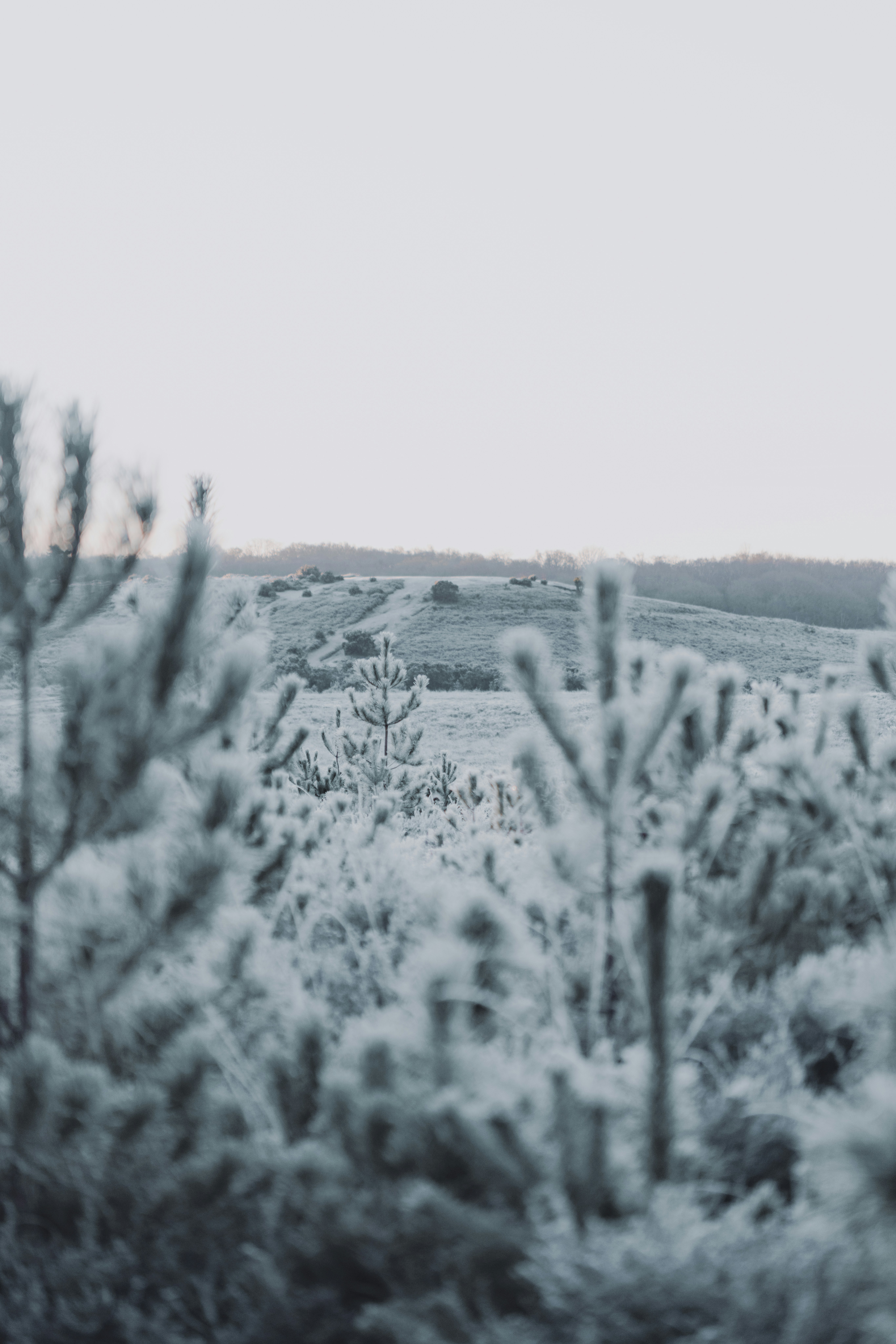 Photo by anniespratt