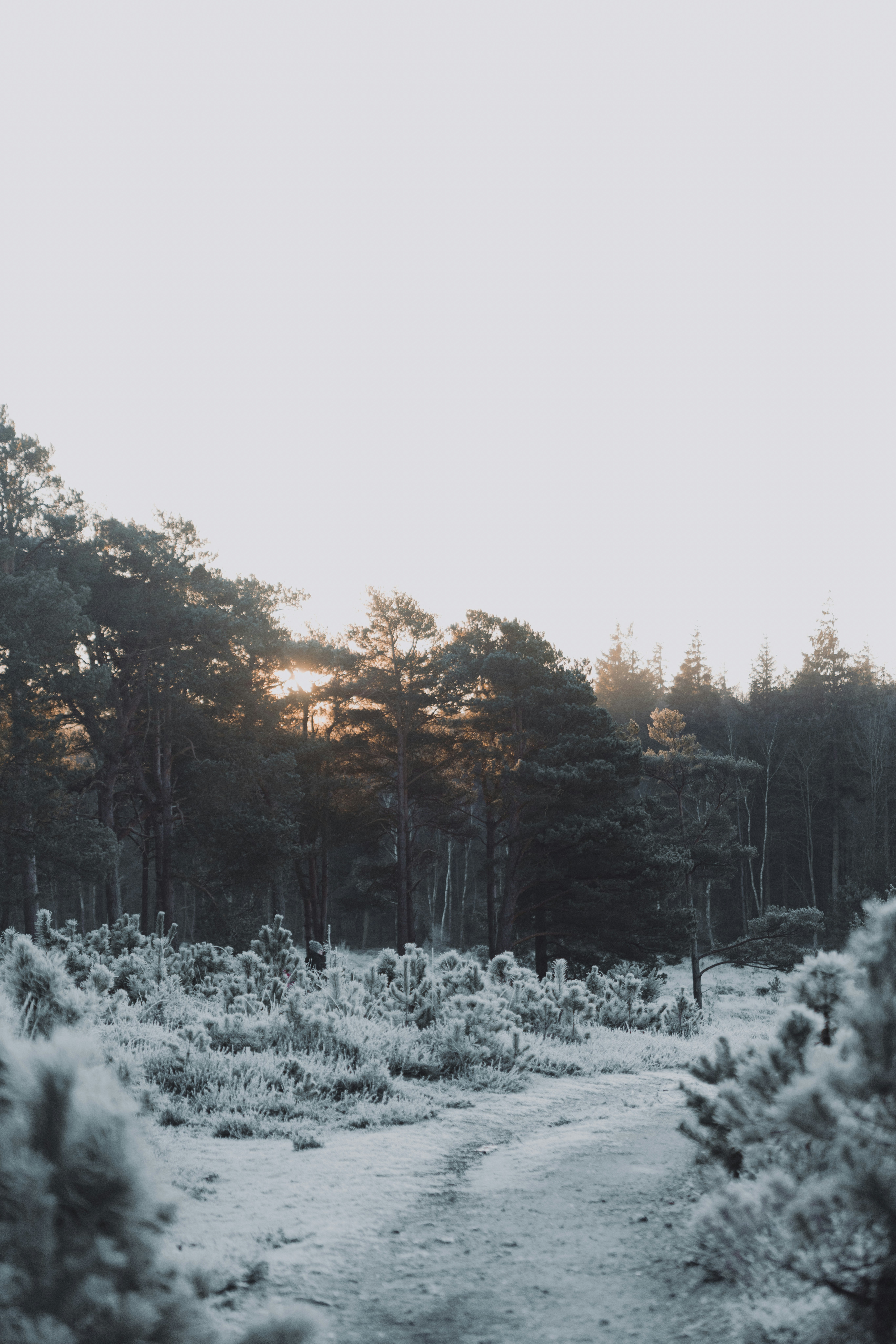 Photo by anniespratt