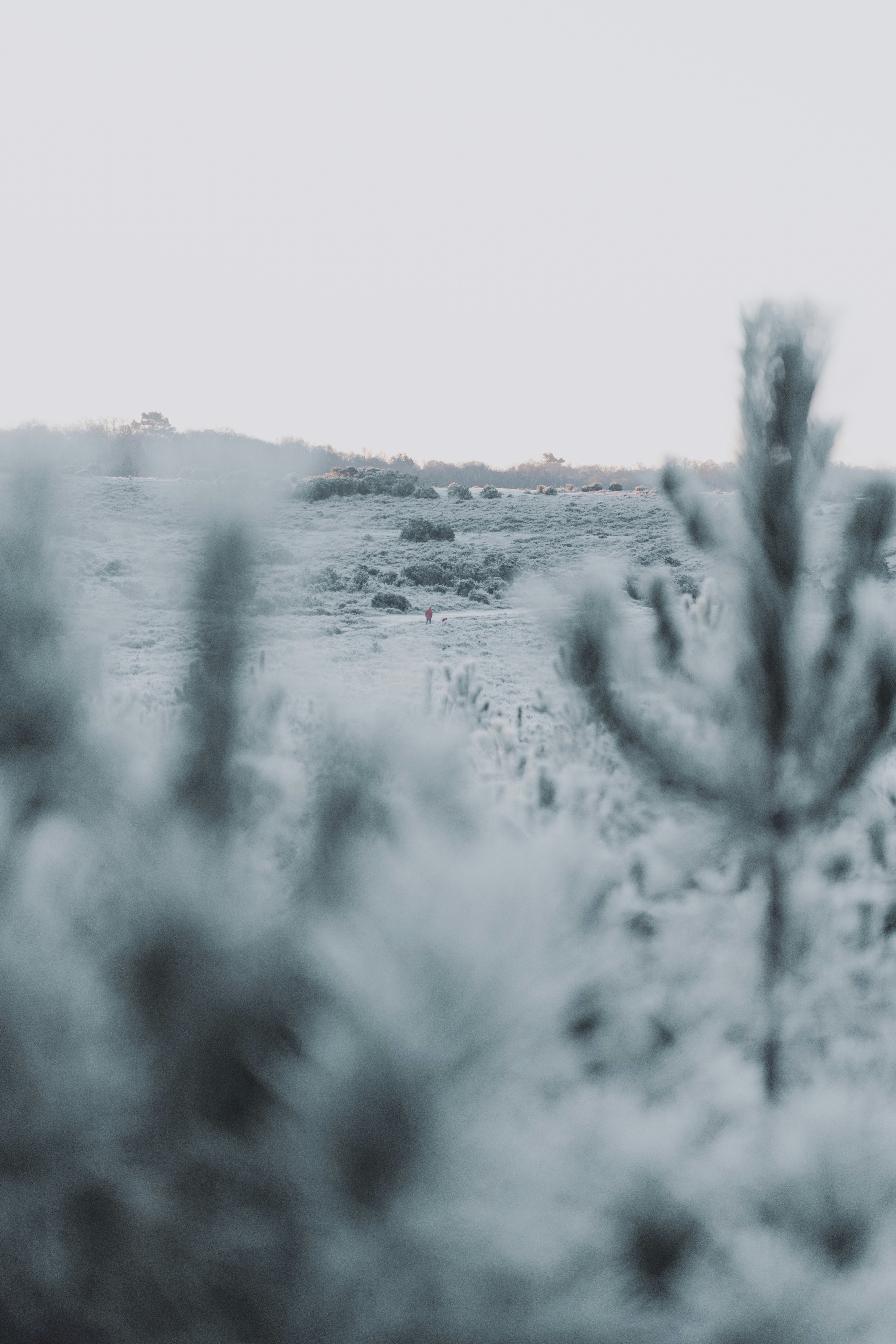 Photo by anniespratt