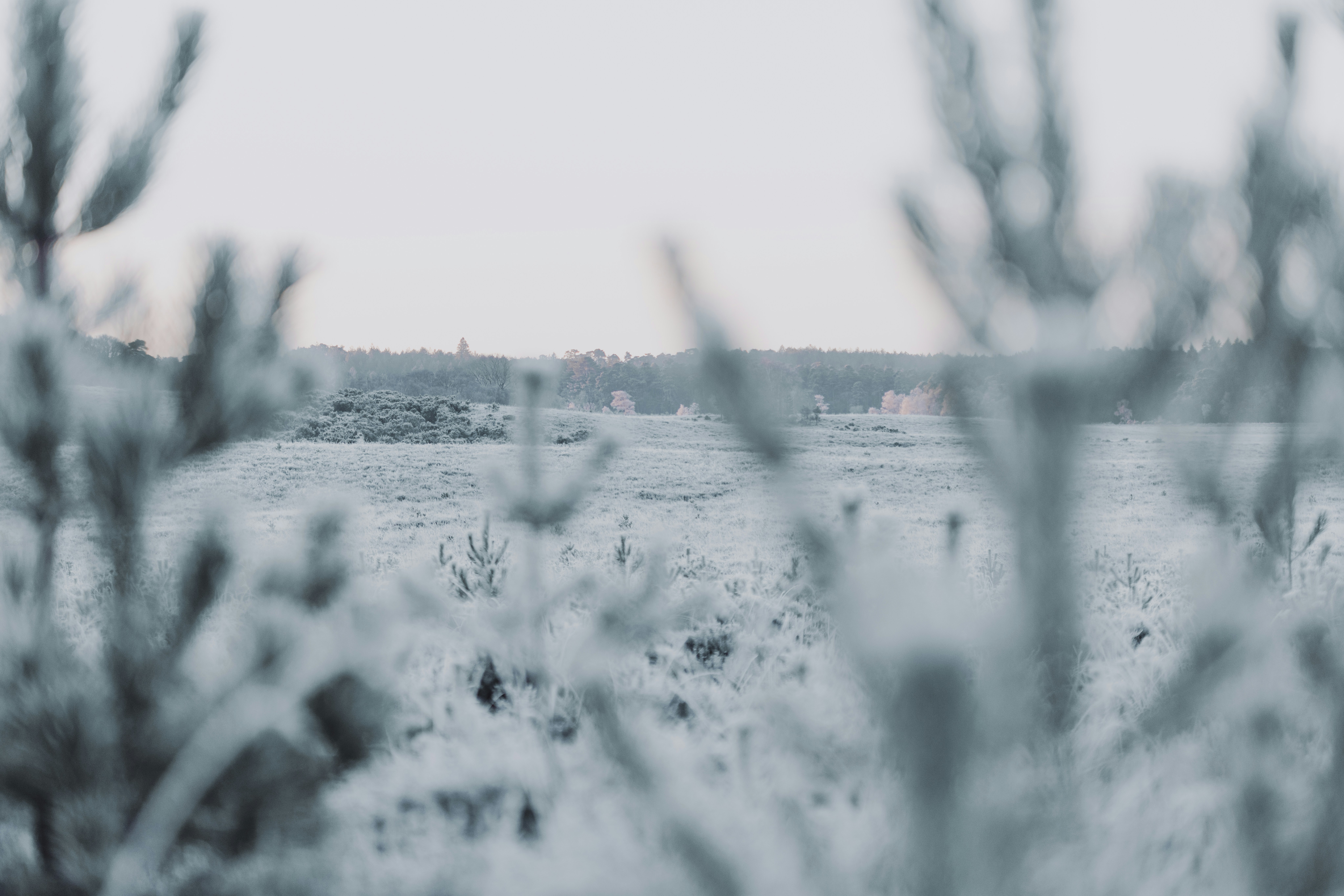 Photo by anniespratt