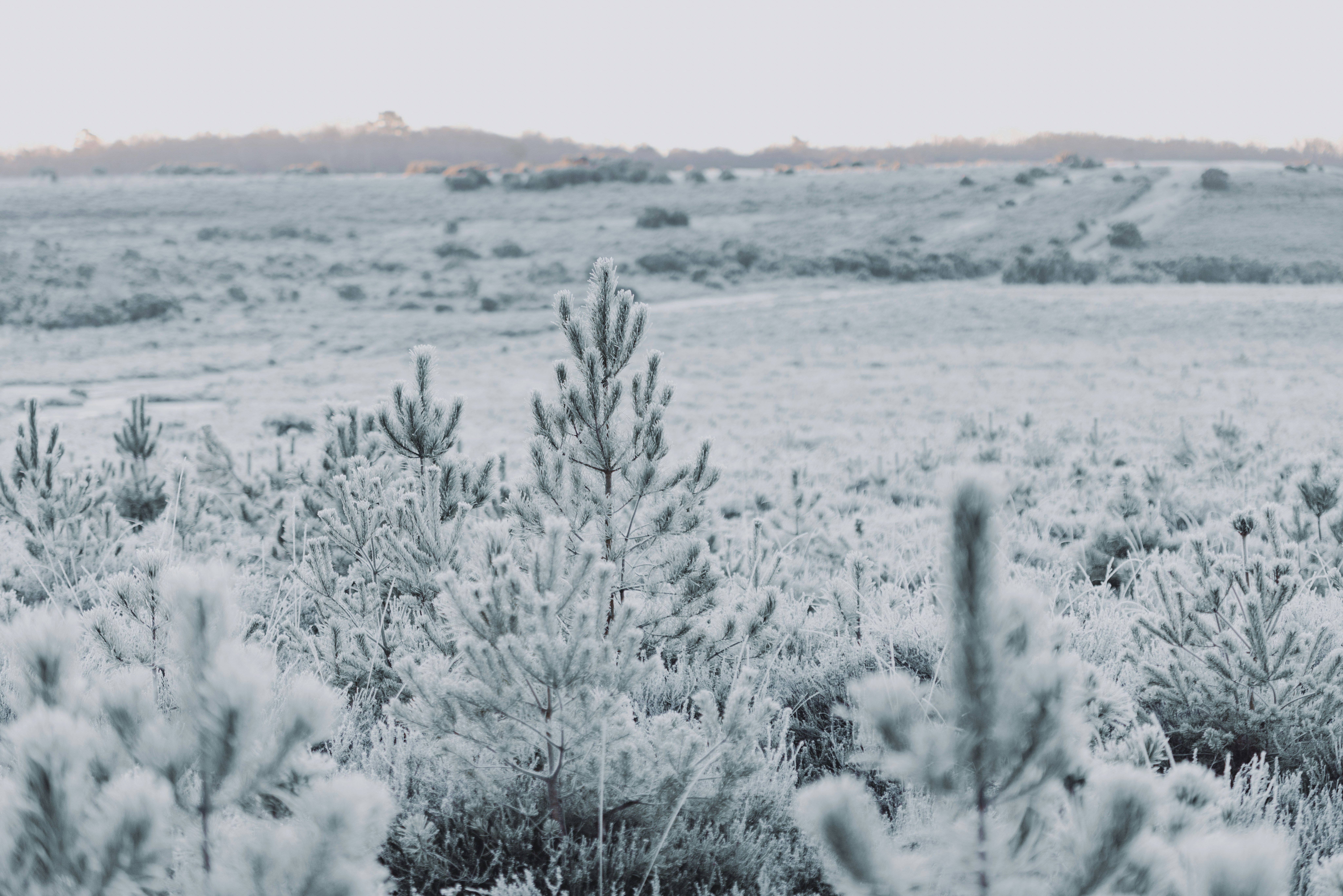 Photo by anniespratt