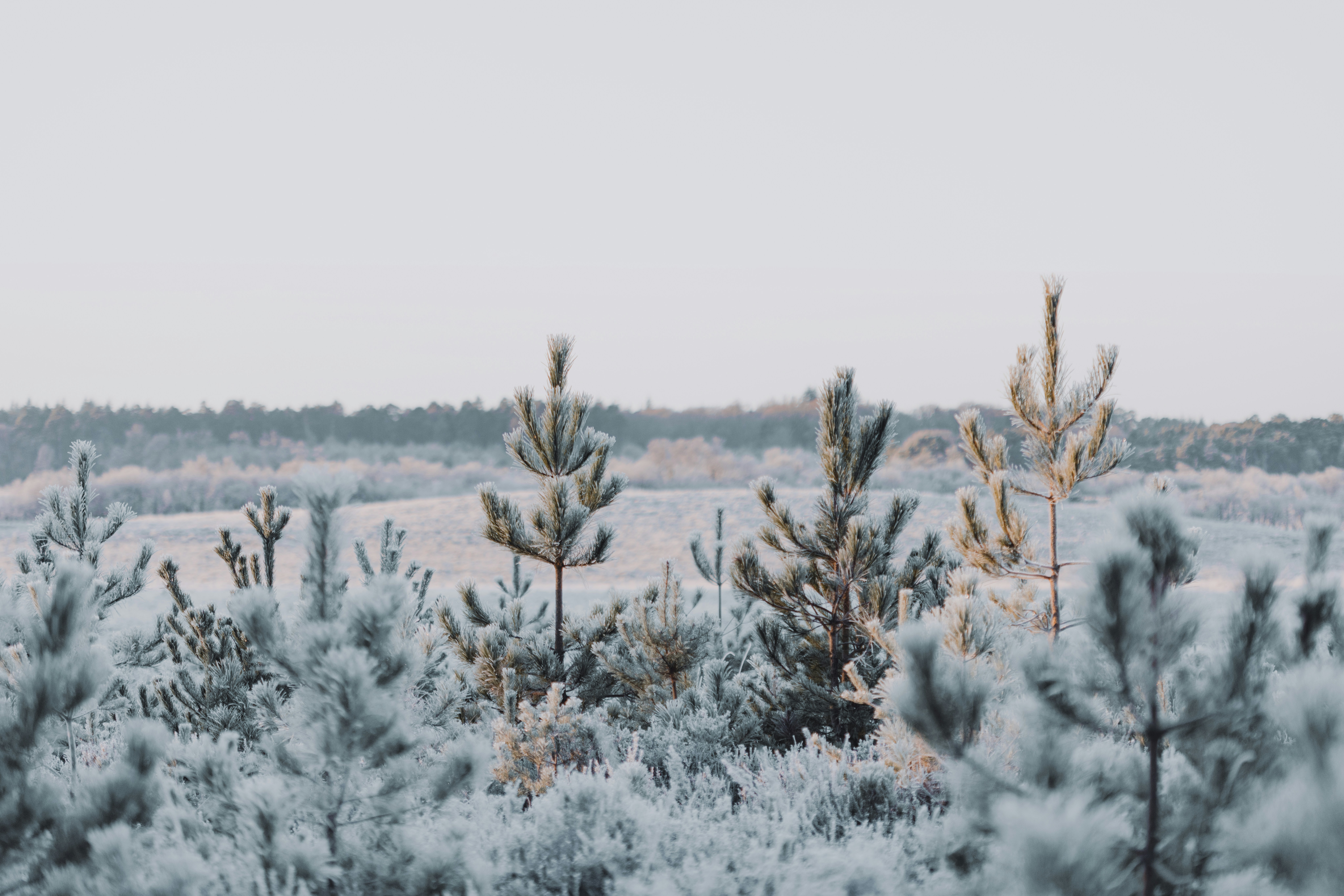 Photo by anniespratt