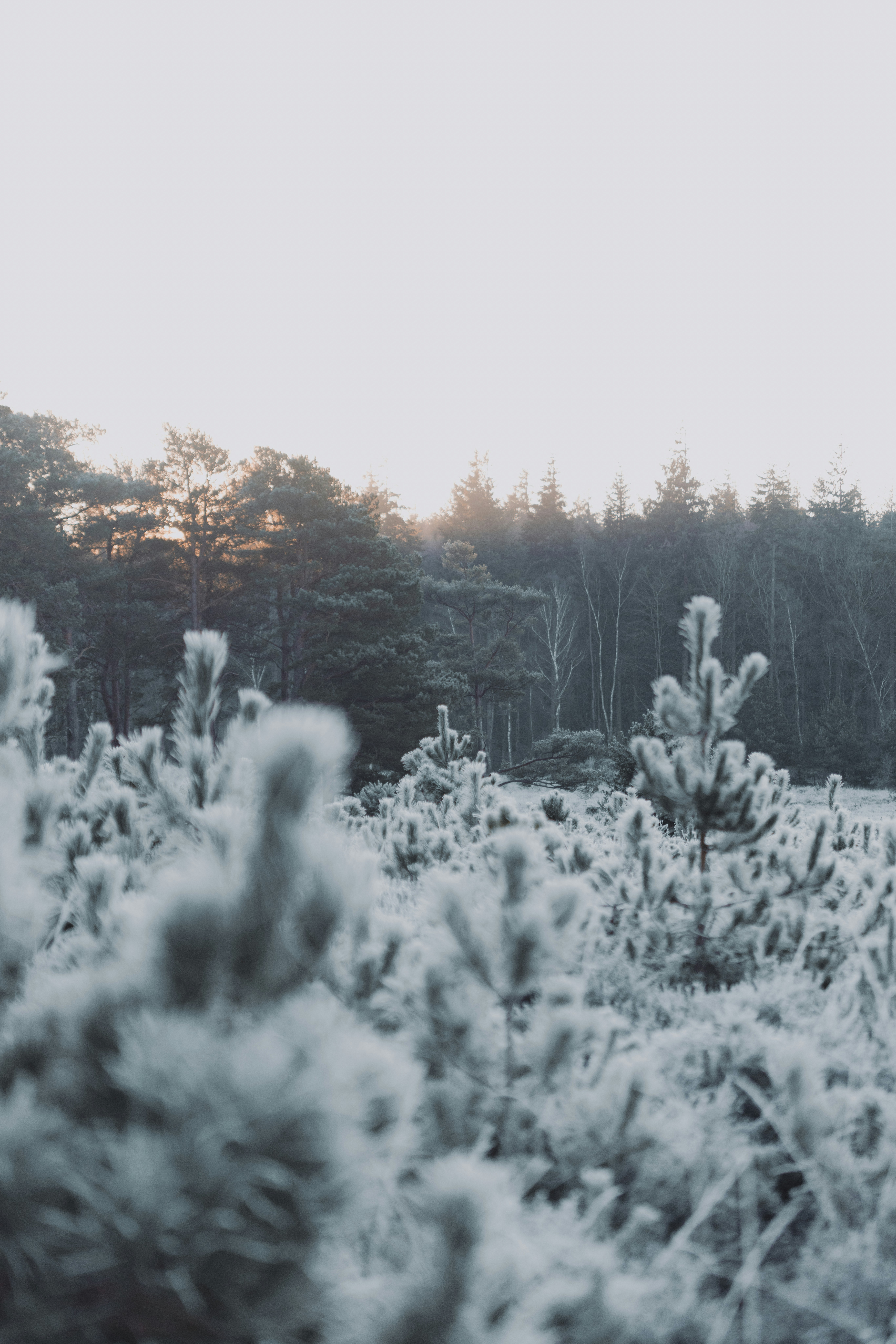 Photo by anniespratt