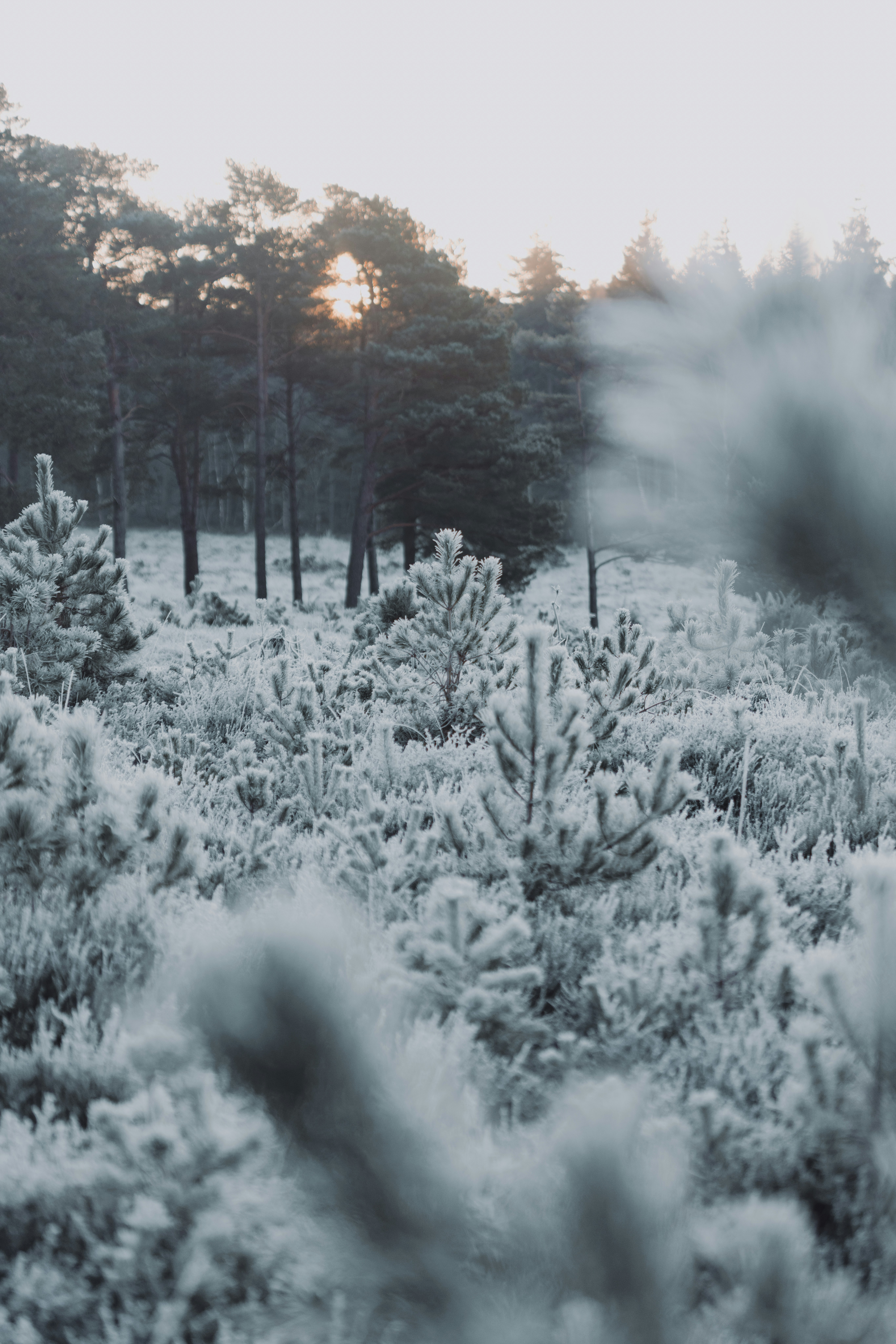 Photo by anniespratt