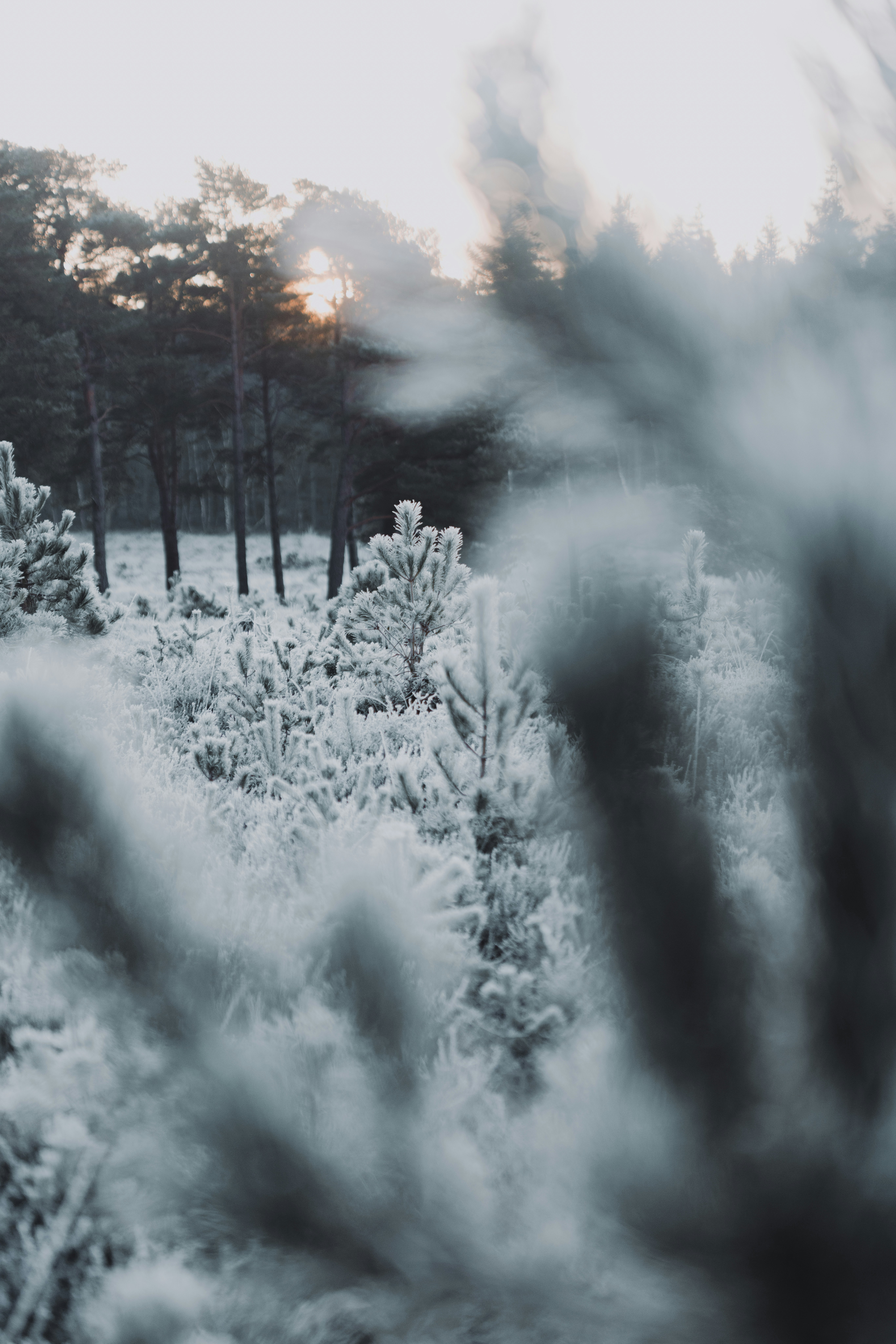 Photo by anniespratt