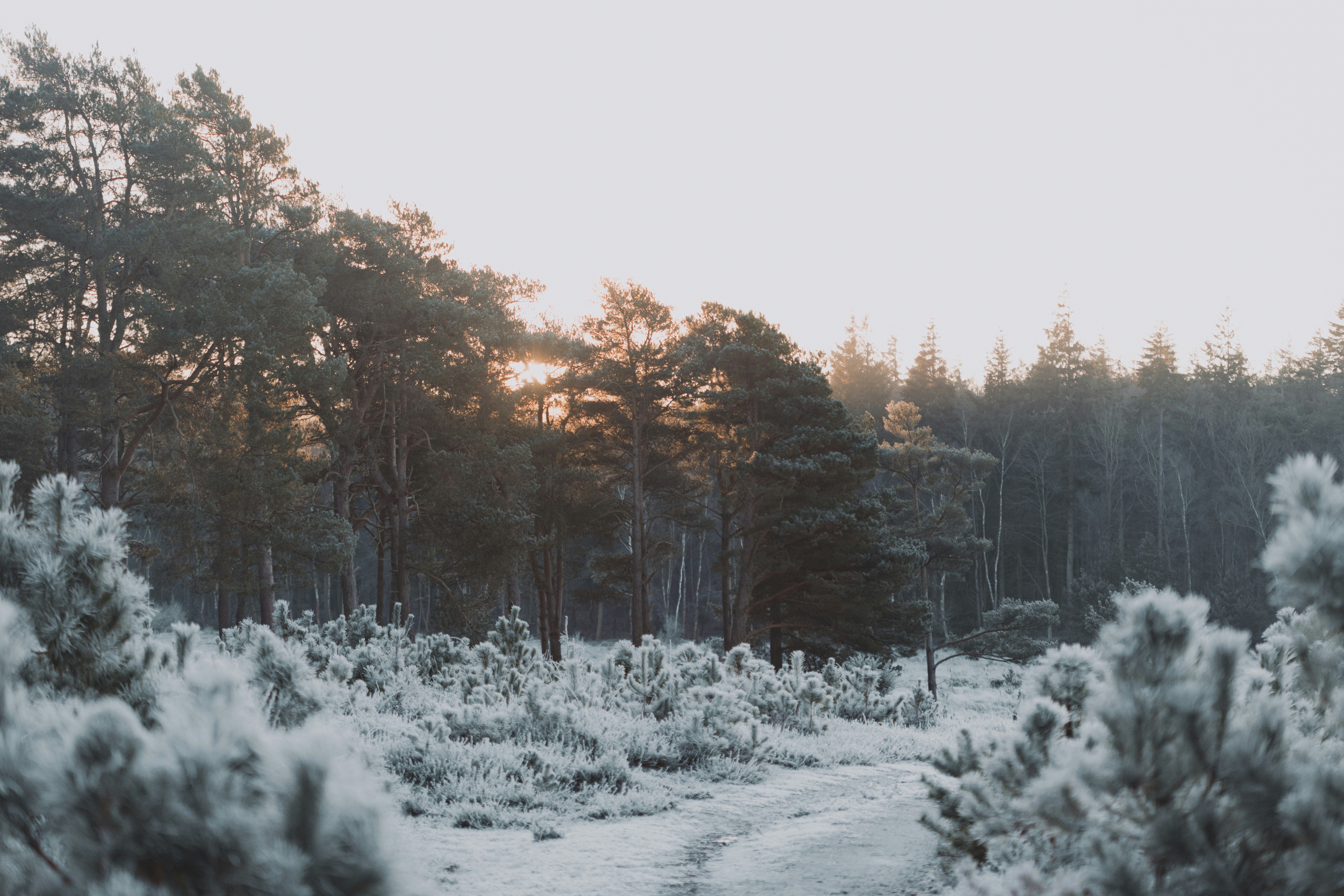 Photo by anniespratt