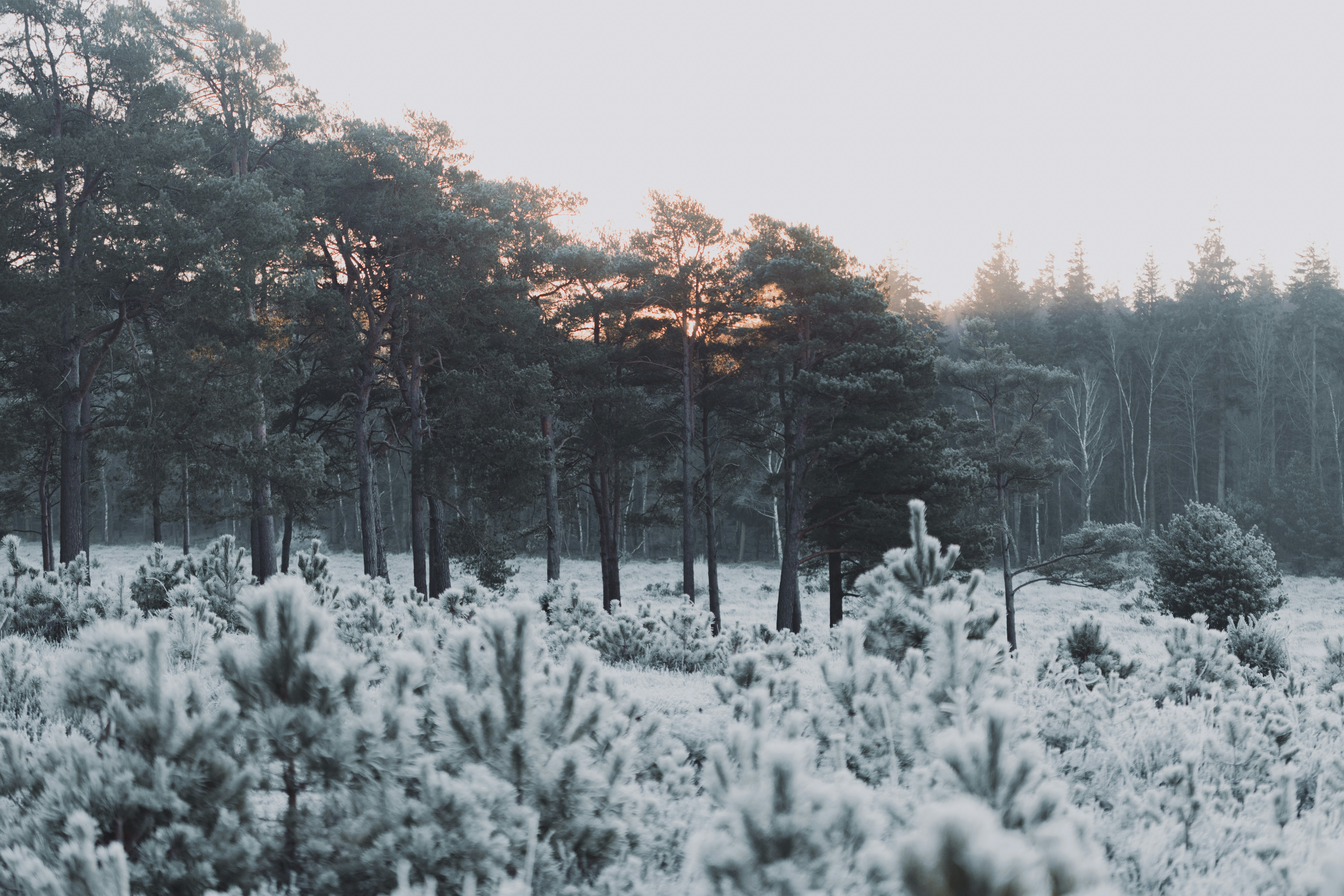 Photo by anniespratt