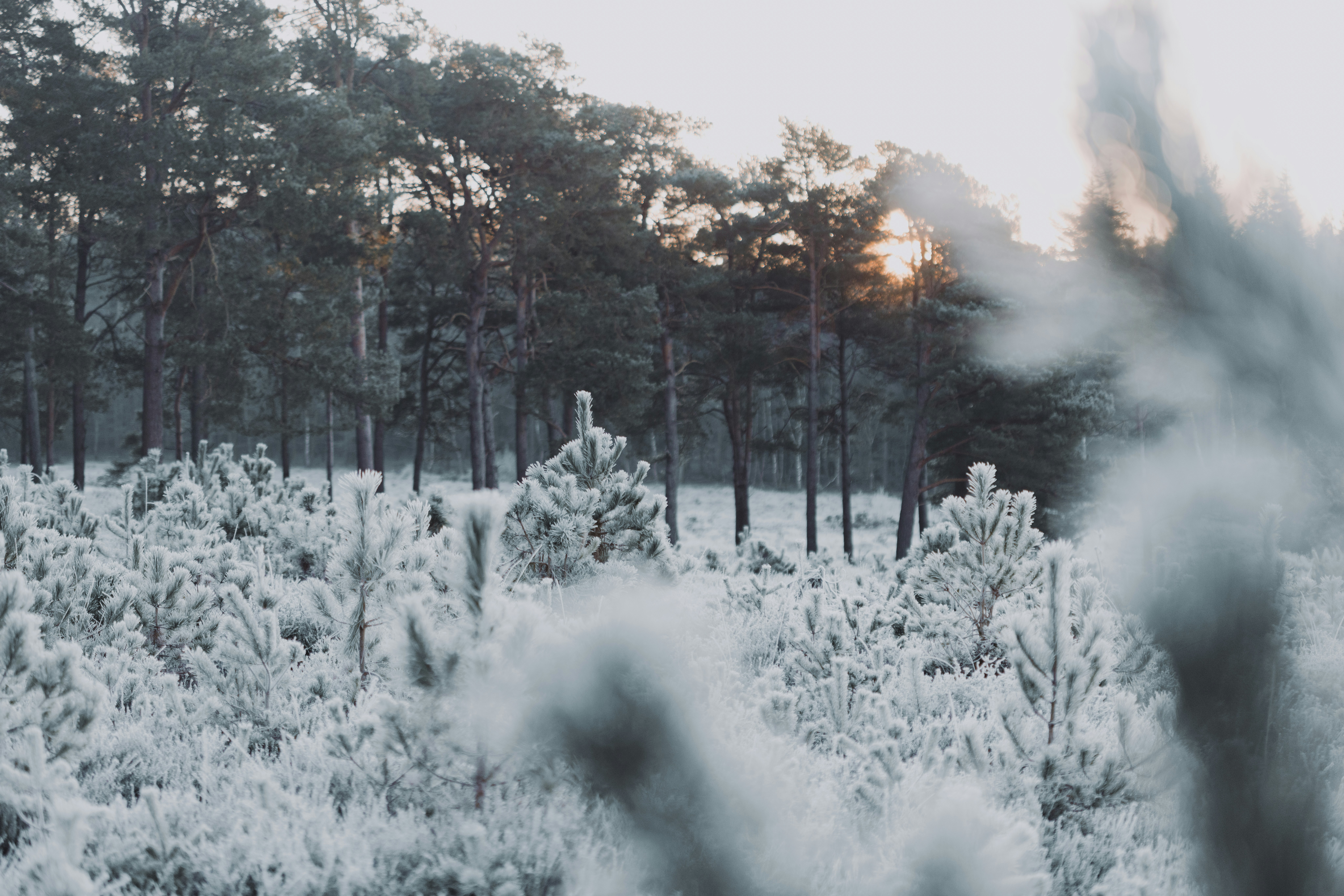 Photo by anniespratt