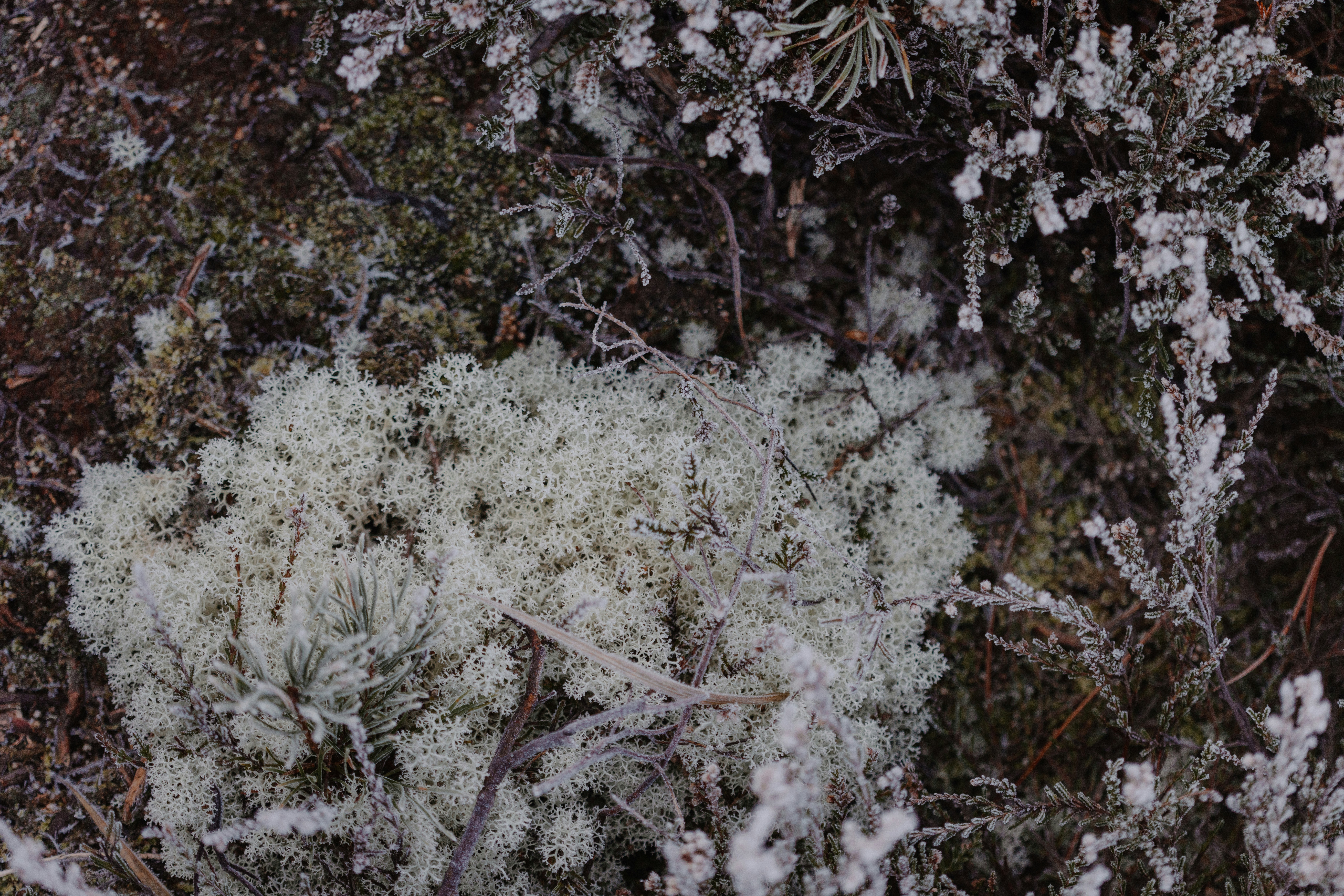 Photo by anniespratt