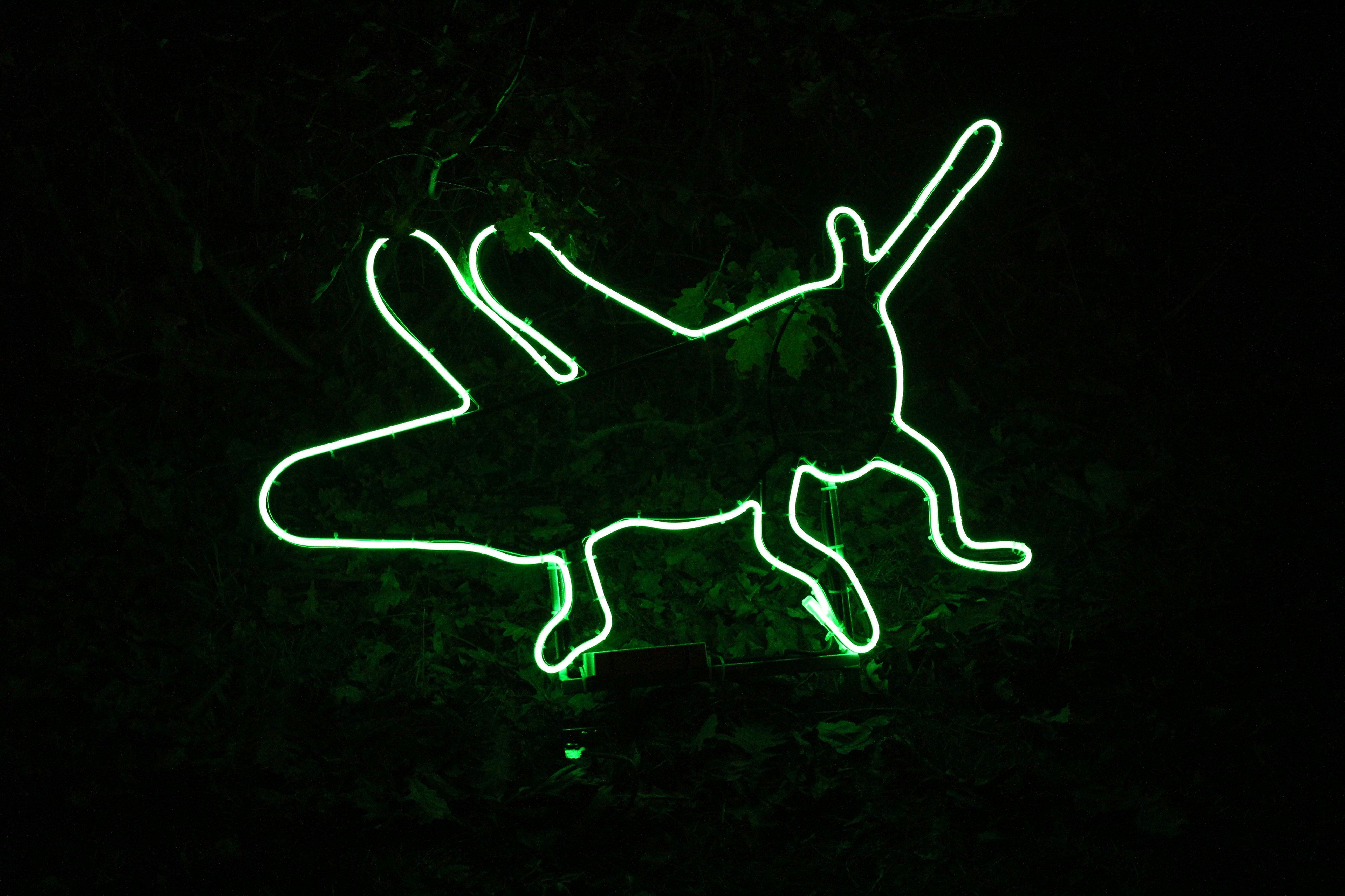 Neon Fox Art