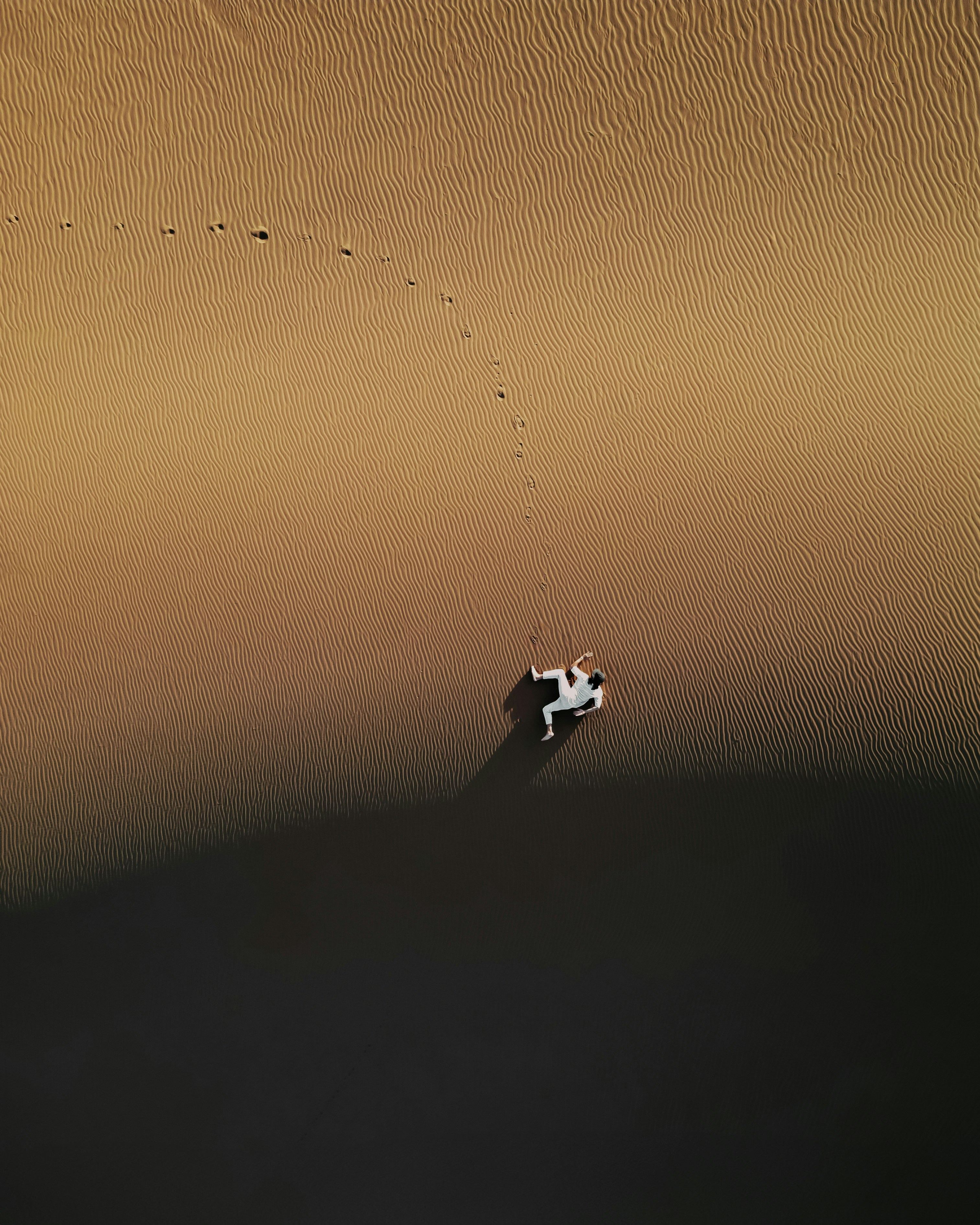 An aerial view of a lone cow in the desert