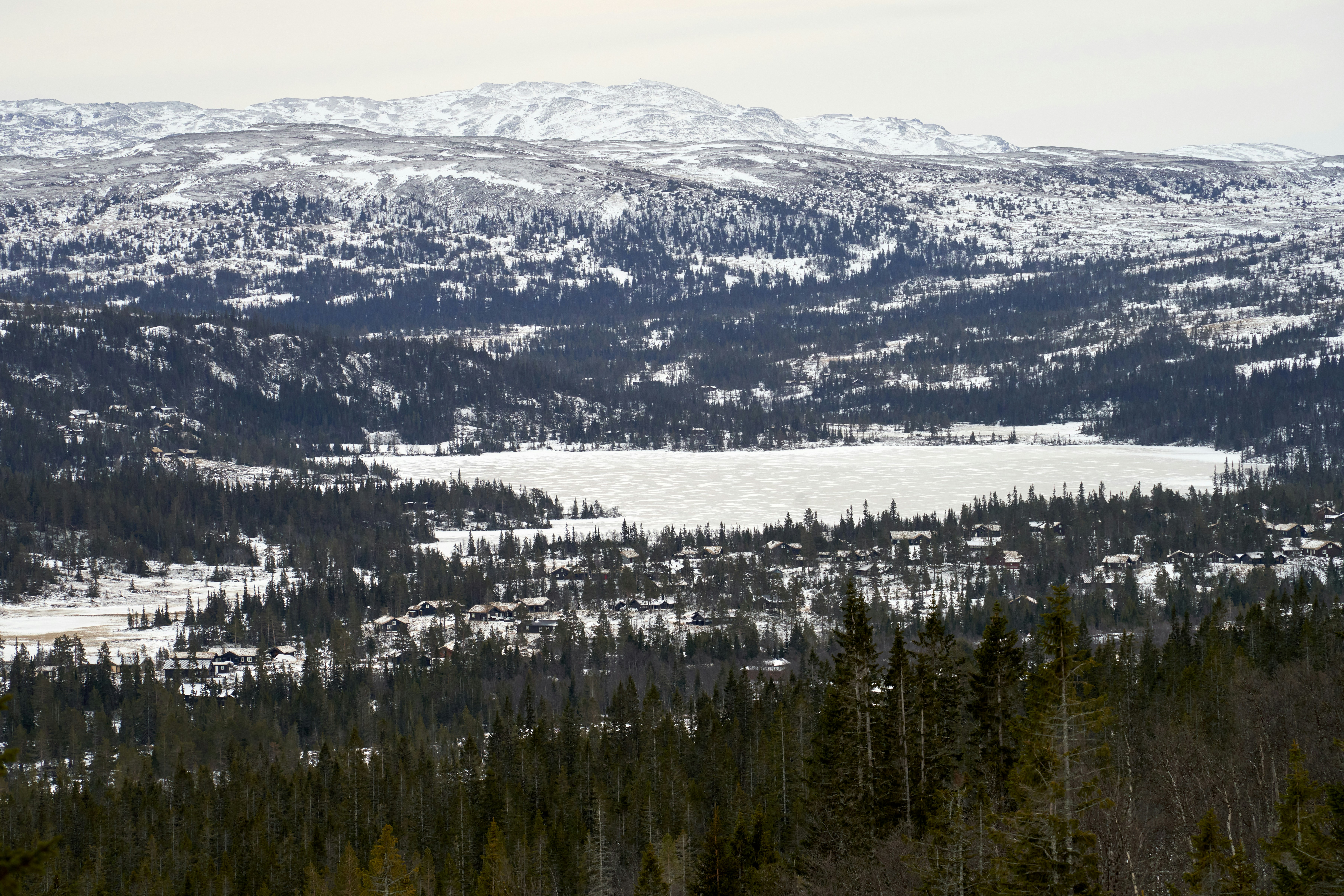 Photo by davotibarna