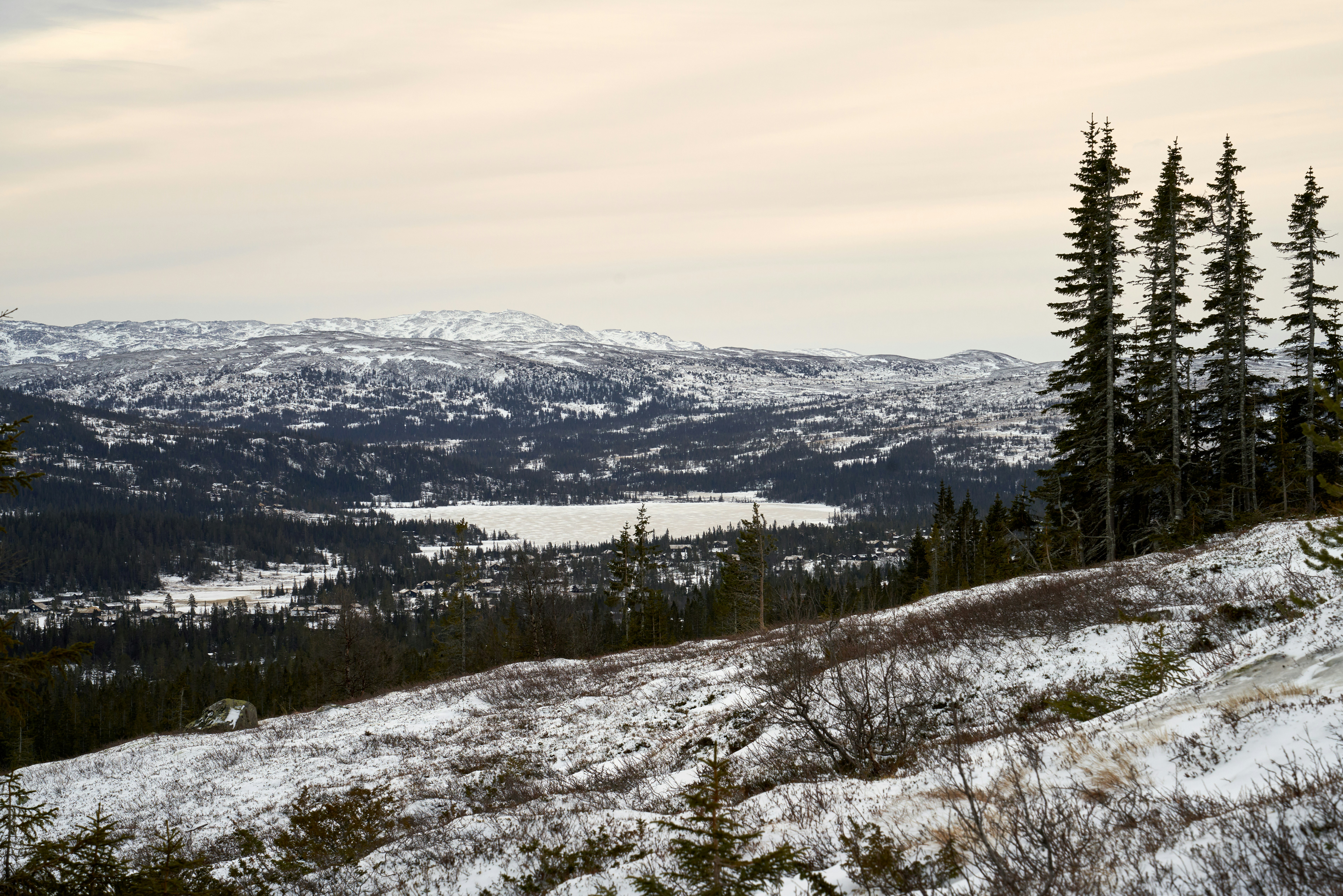 Photo by davotibarna