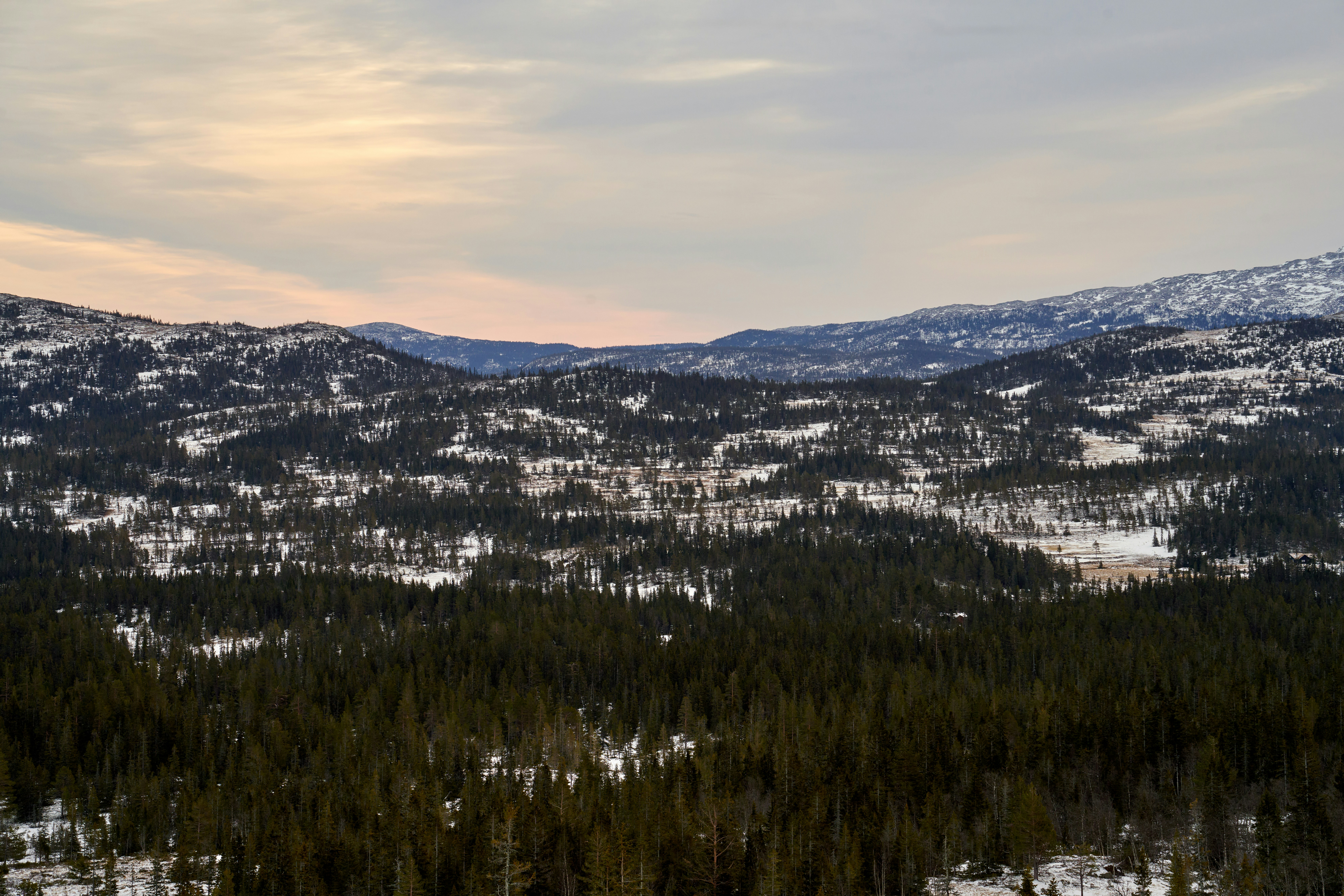 Photo by davotibarna