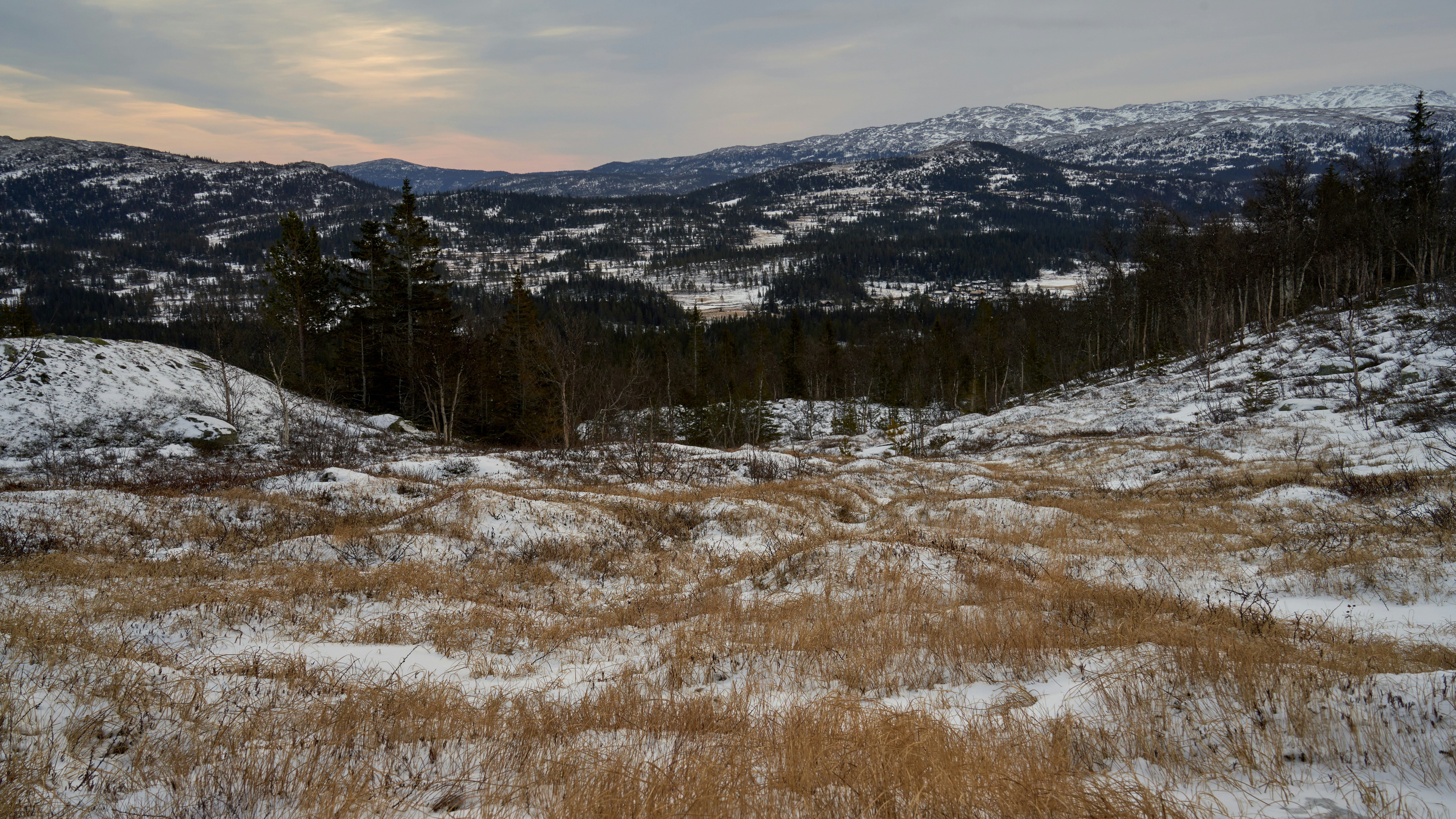 Photo by davotibarna