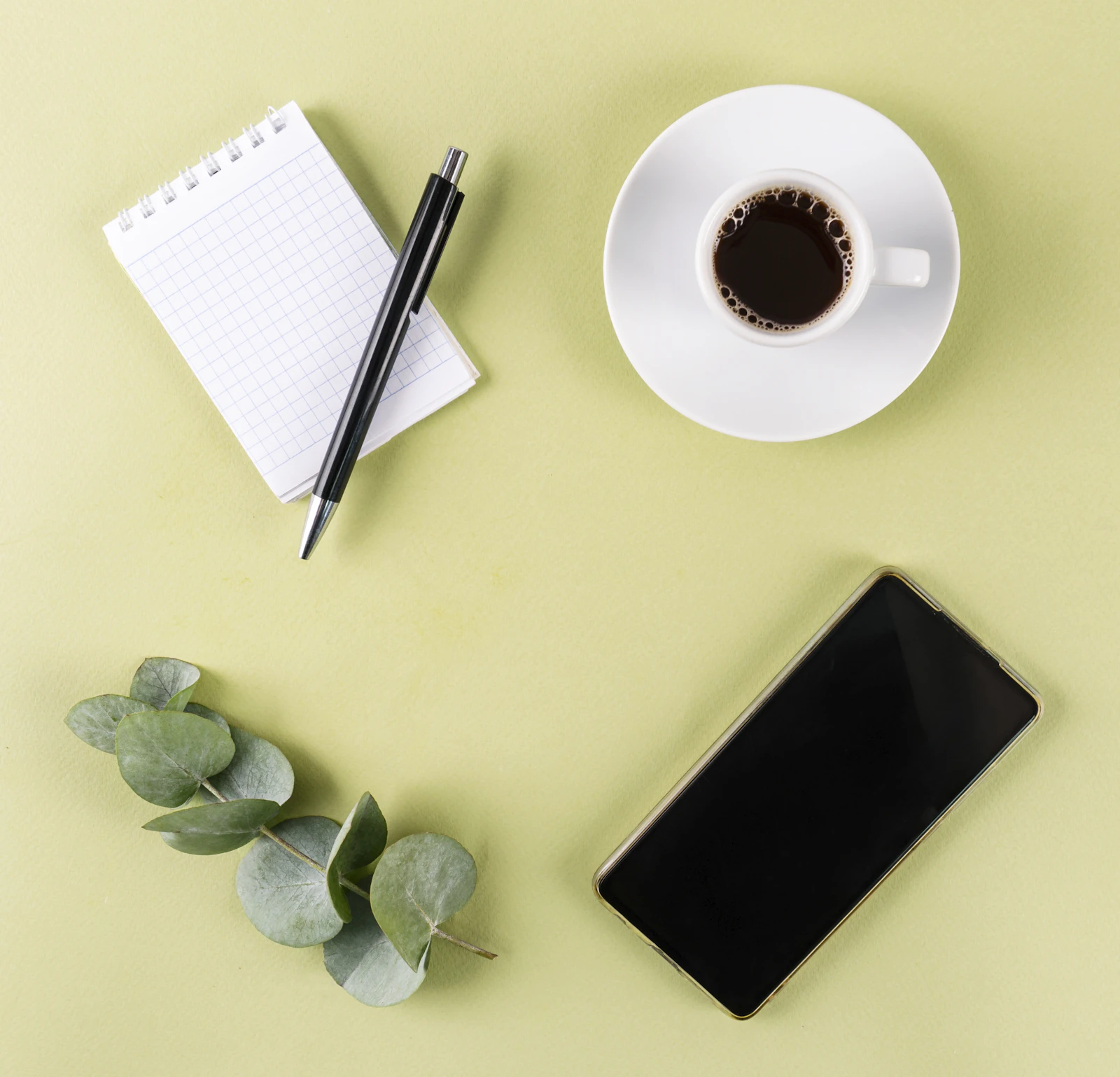 A notepad, coffee, phone and eucalyptus on a soft light-green surface