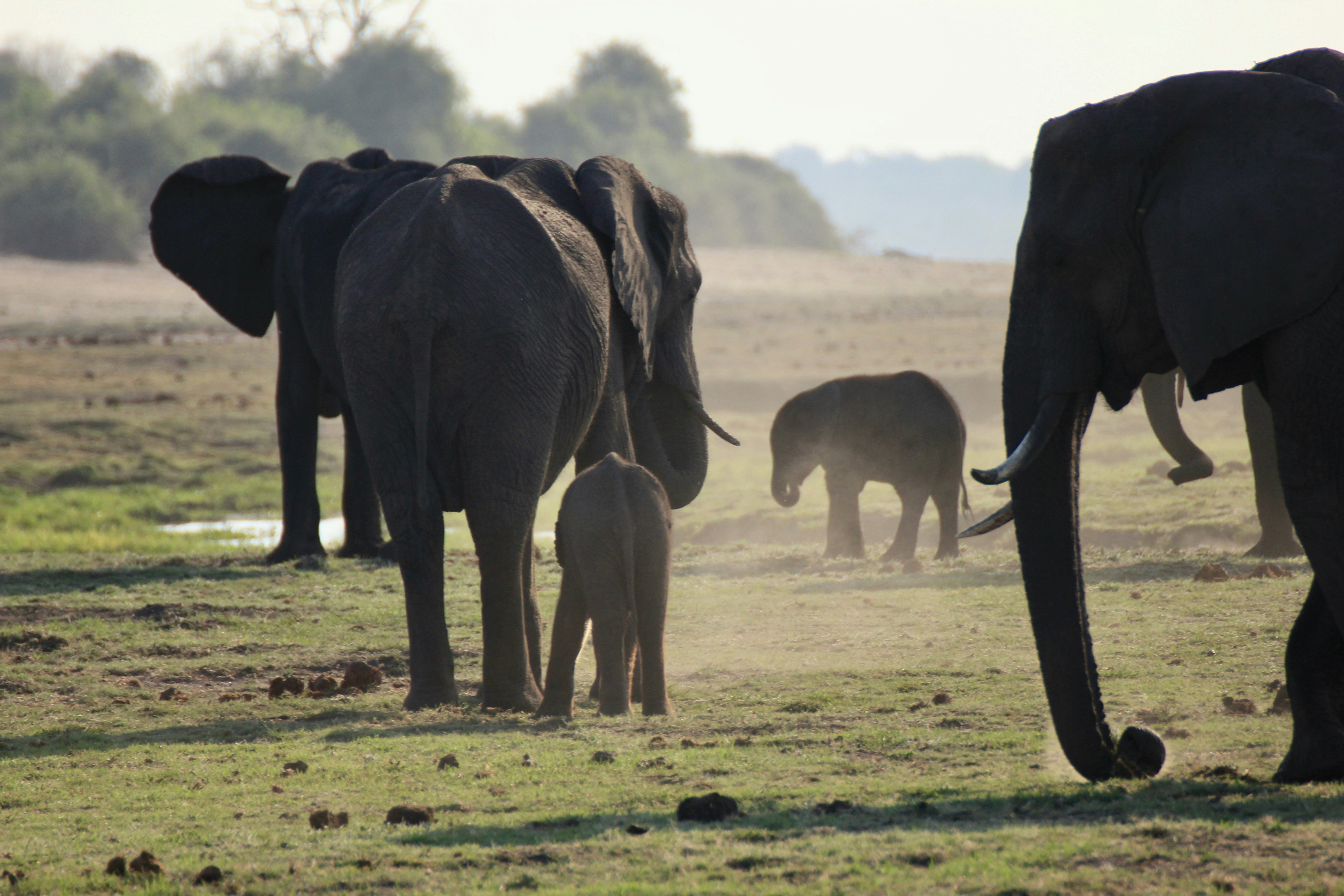 Photo by travel2africa