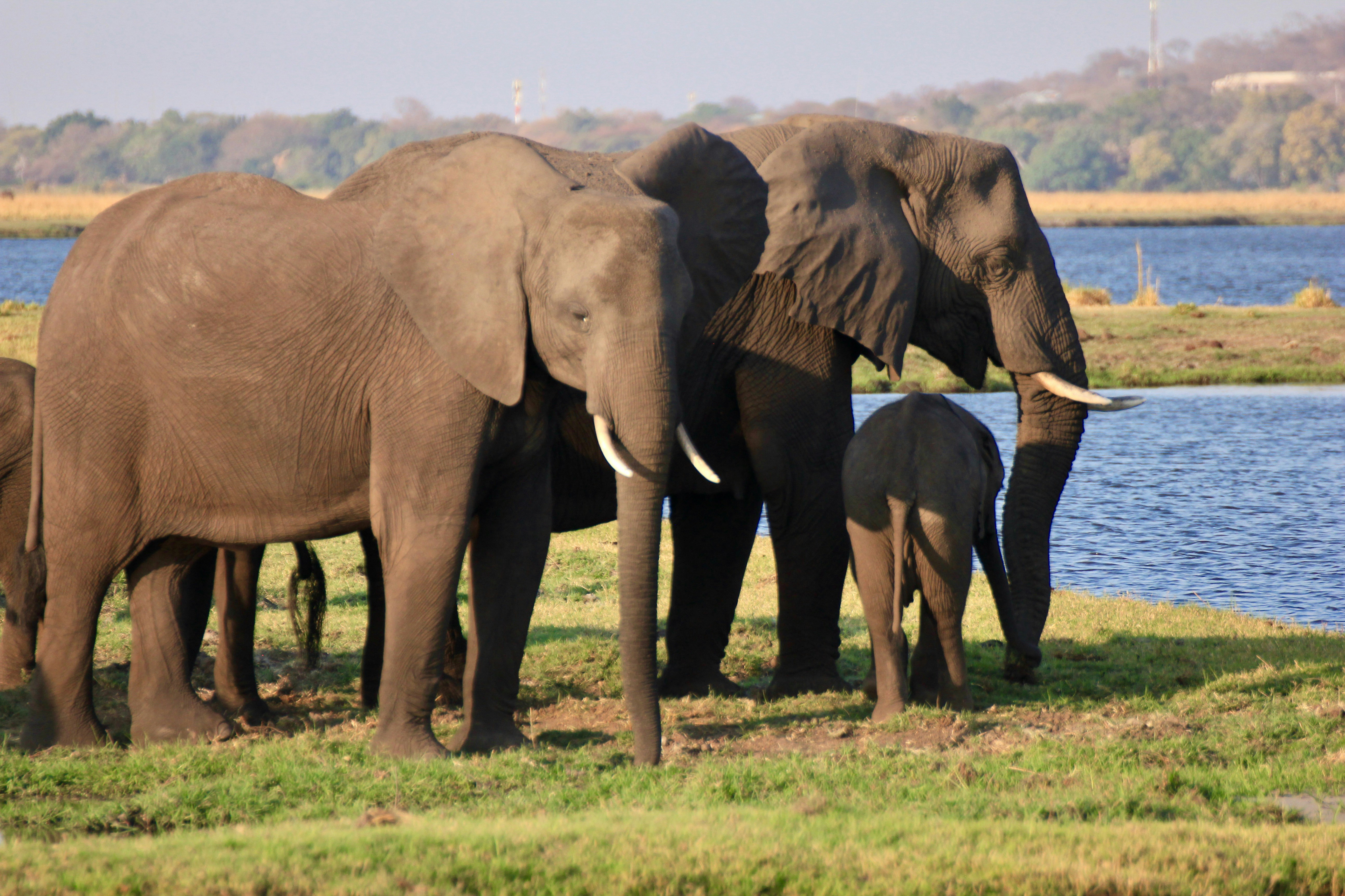 Photo by travel2africa