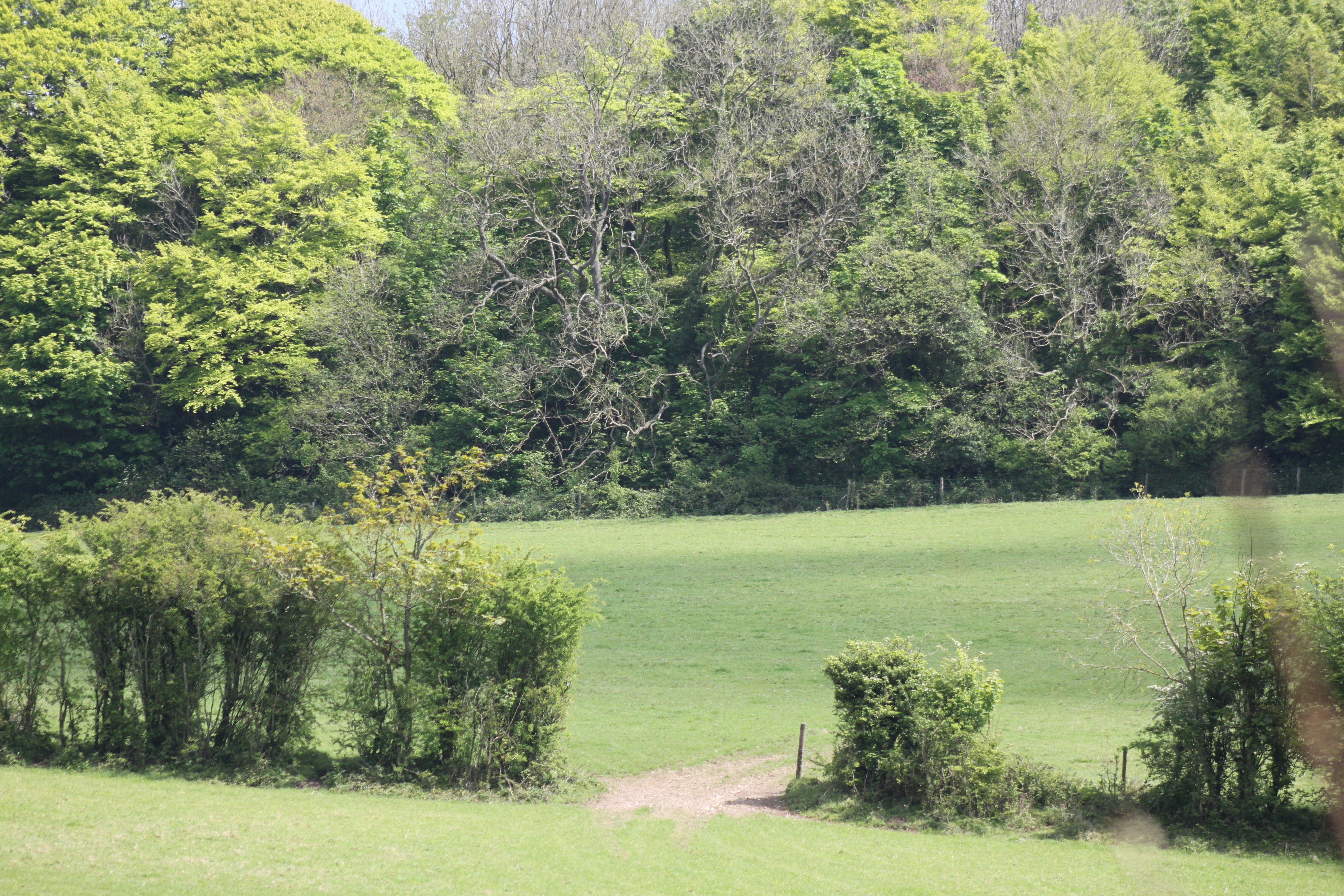 Winway Park
