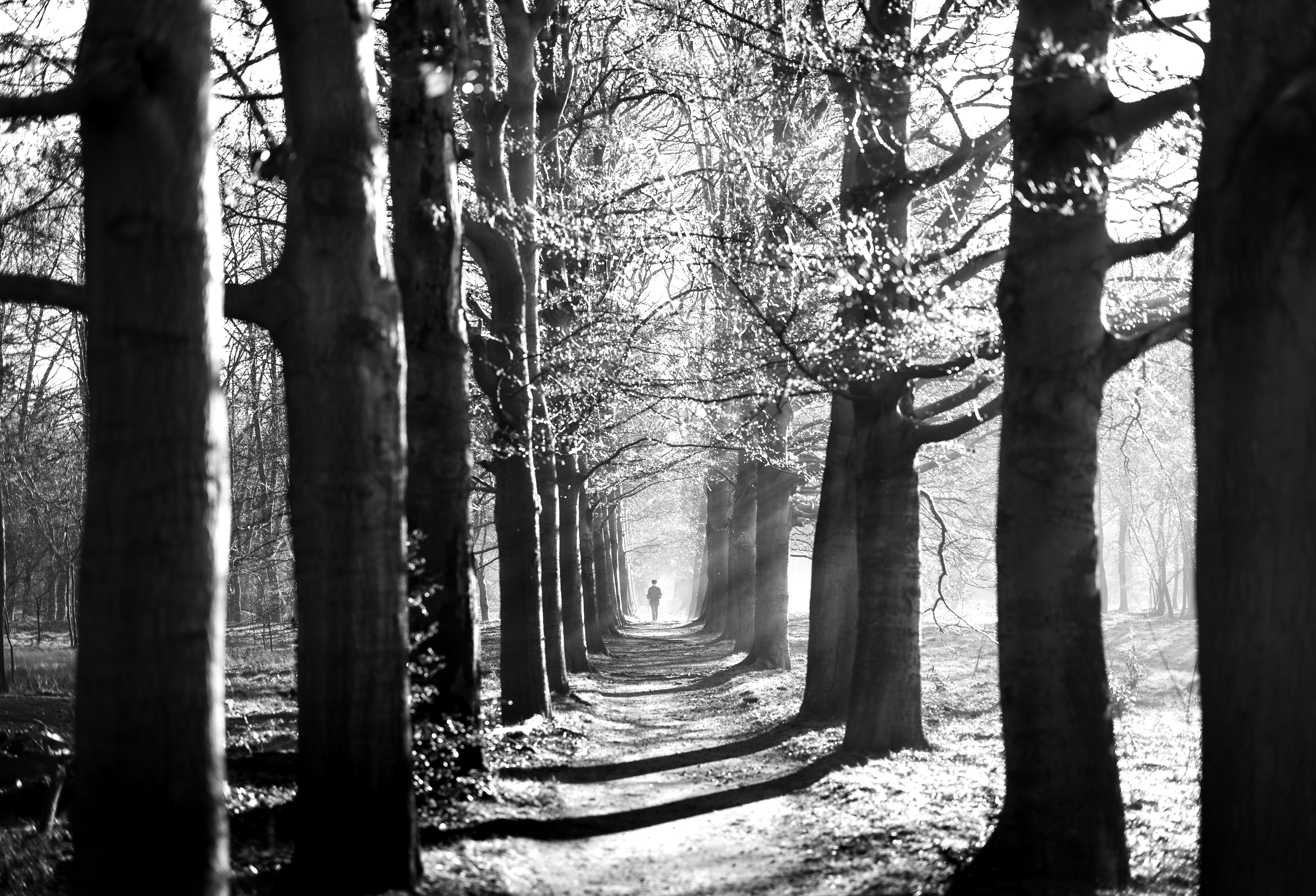 Photo by marekpiwnicki