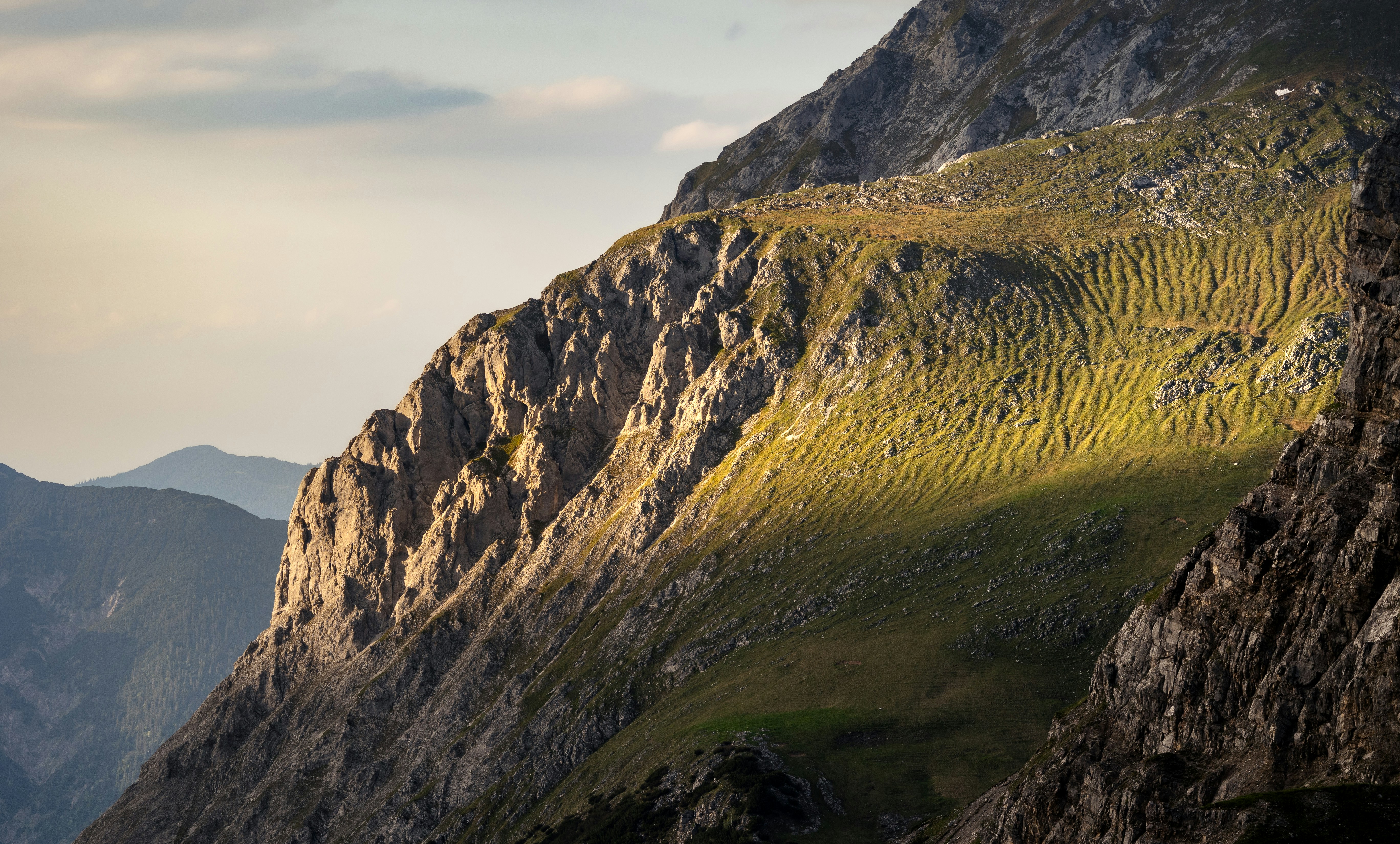 Photo by marekpiwnicki