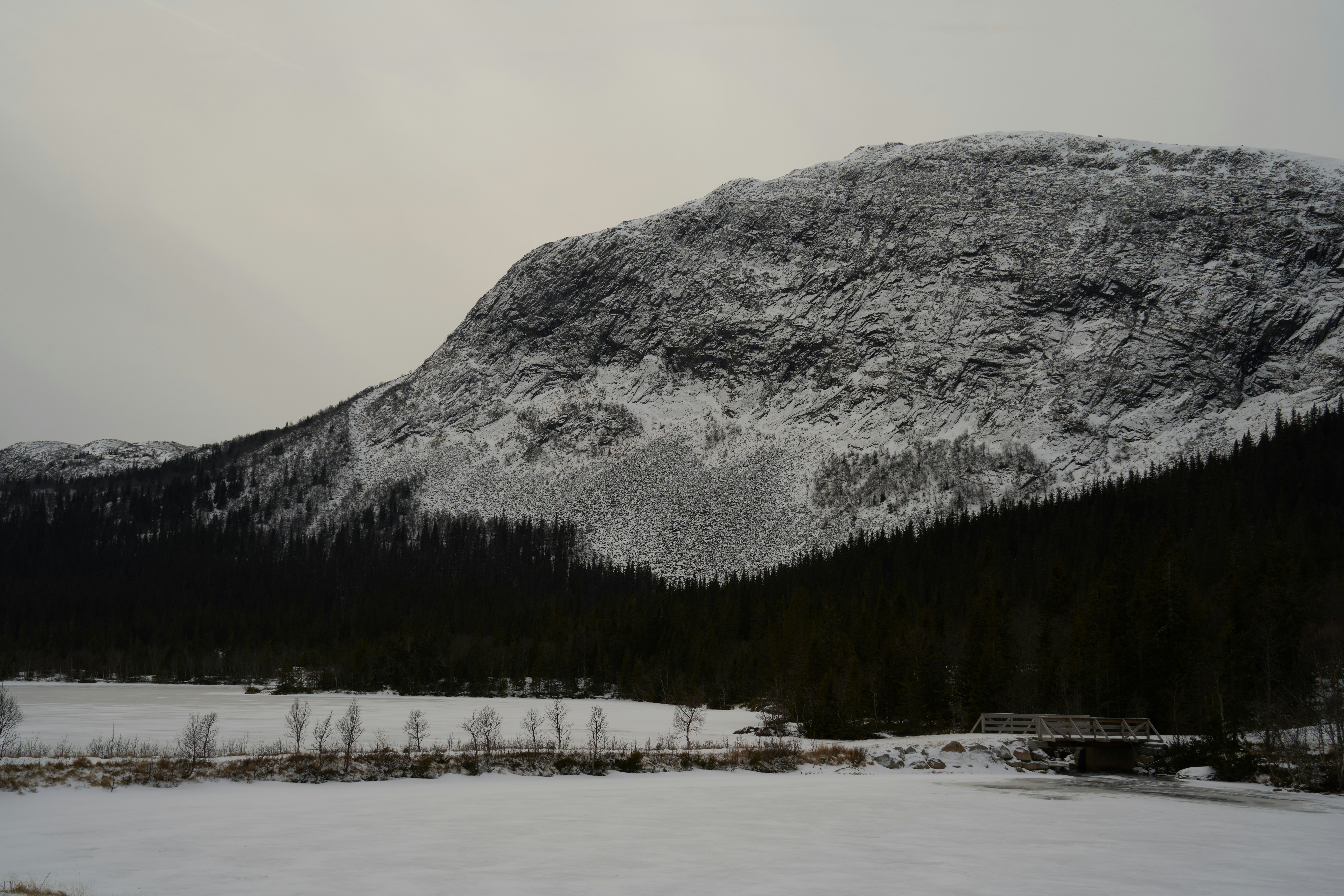 Photo by davotibarna