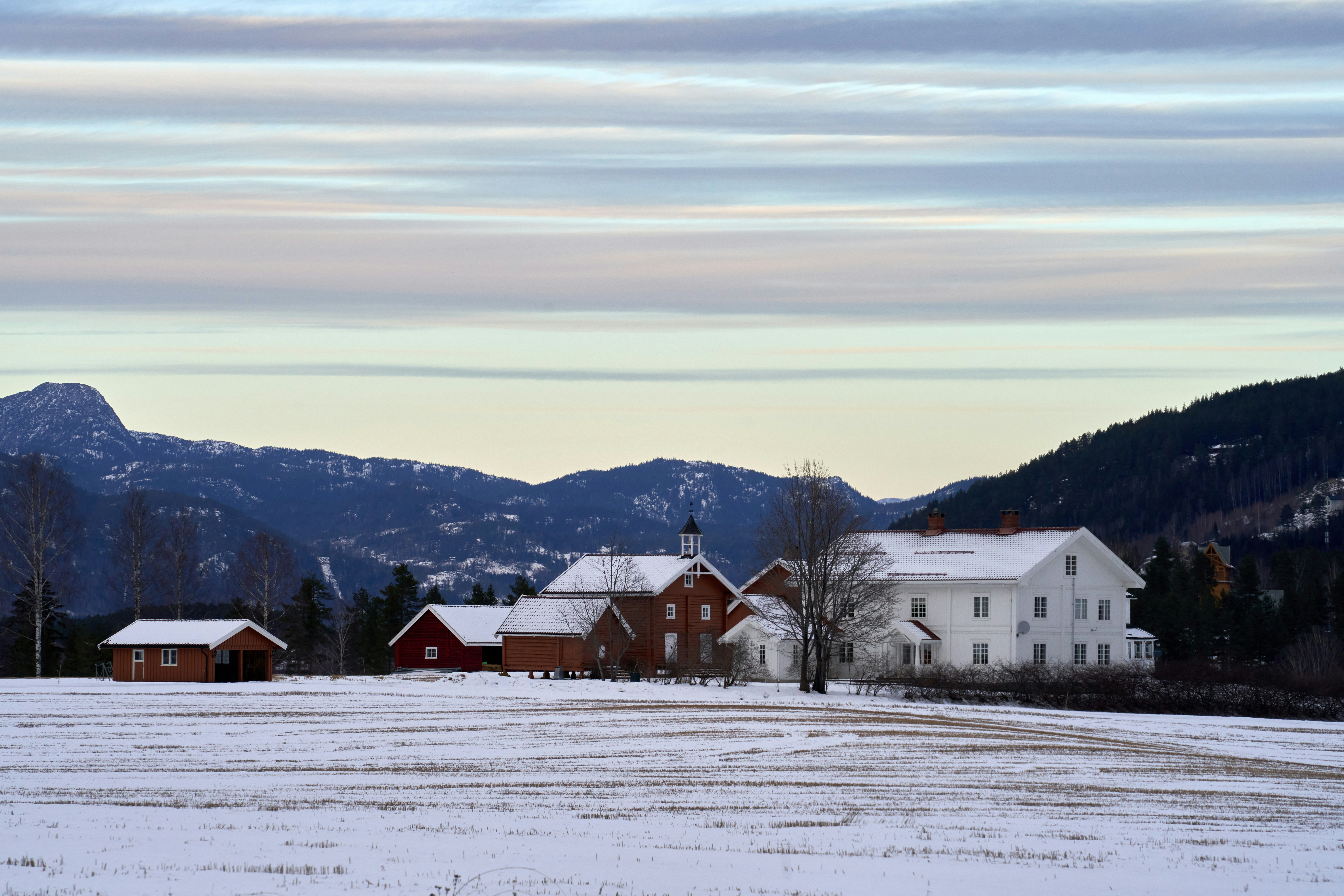 Bergen Cold Snap