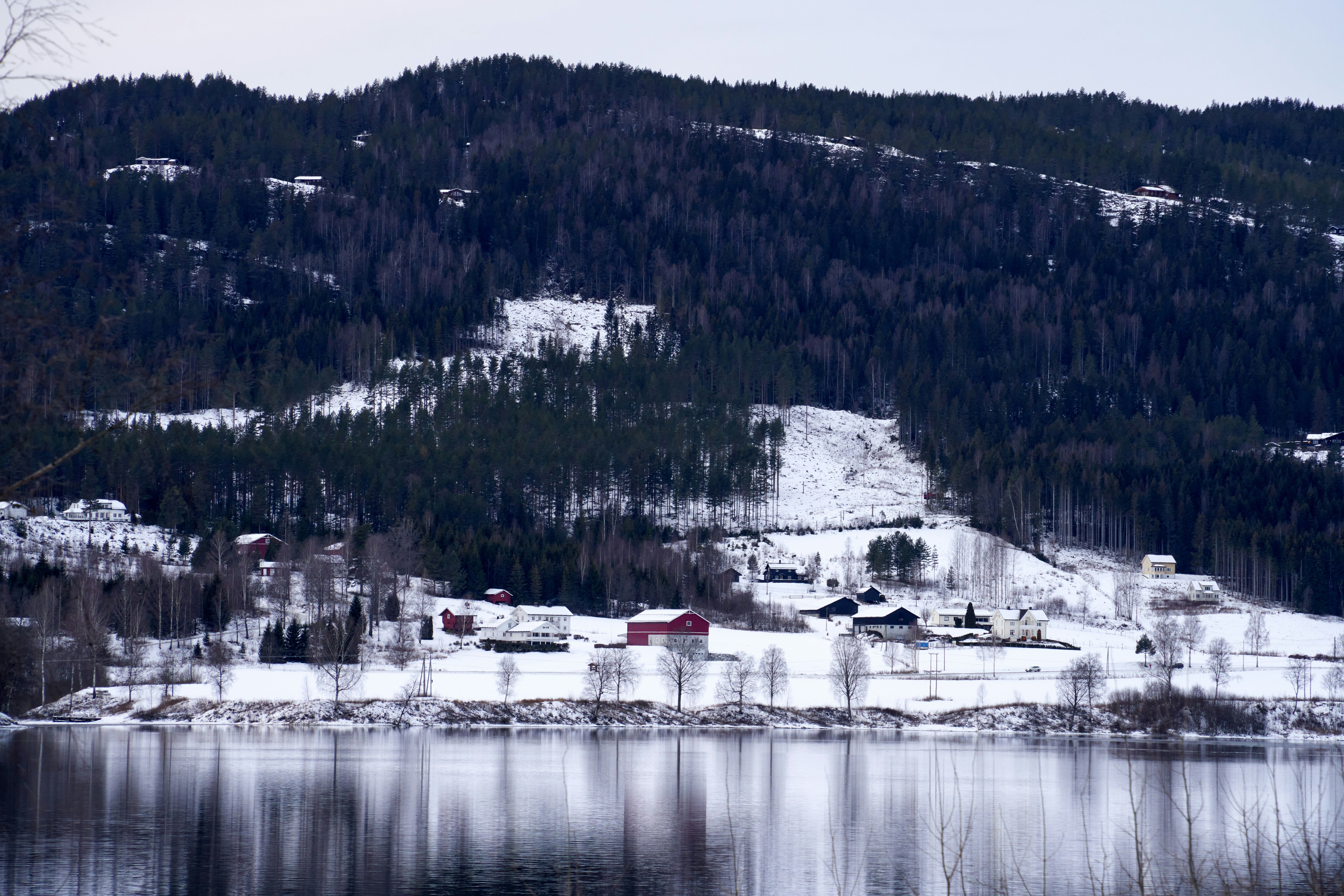 Photo by davotibarna