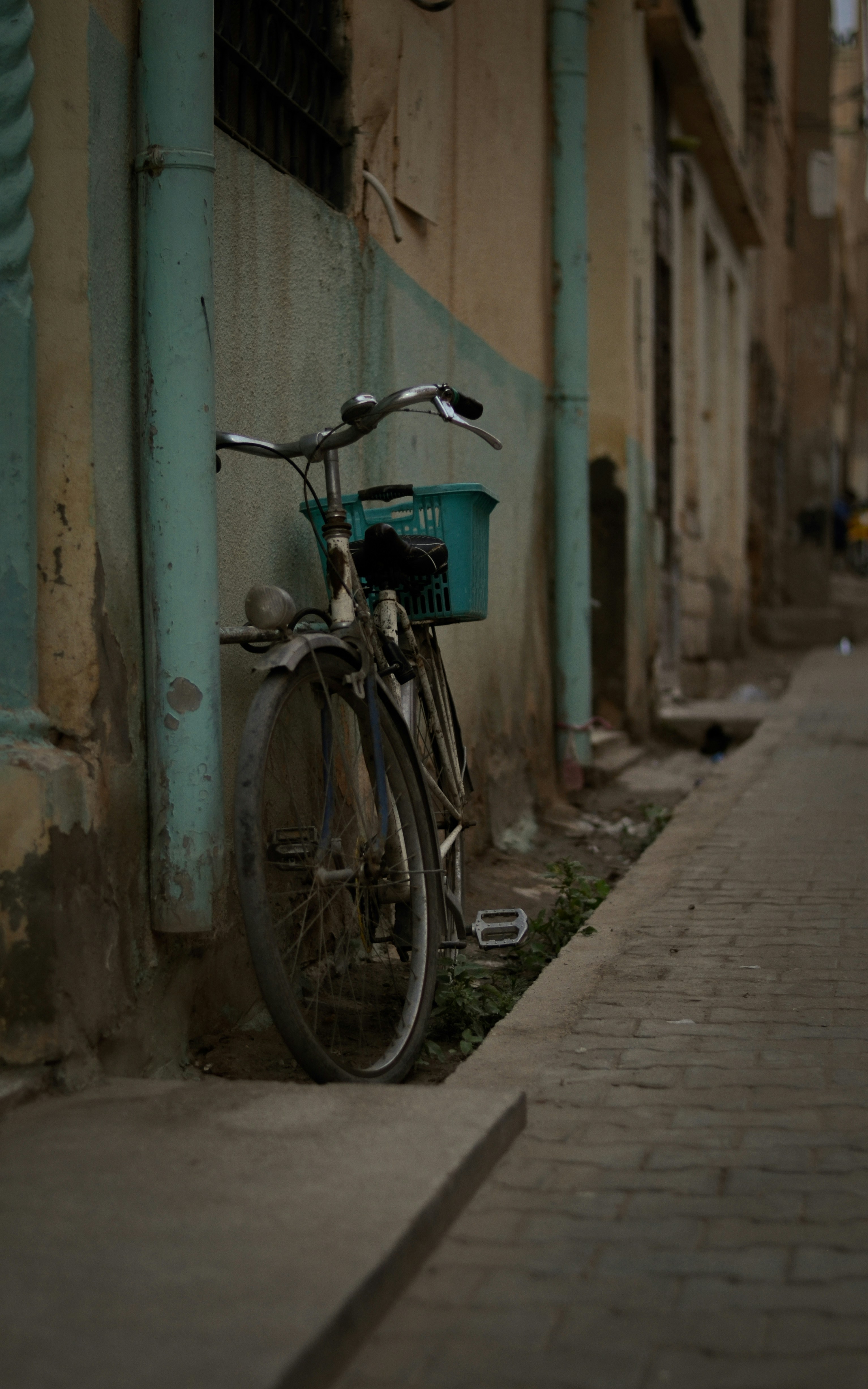 Photo by khalilbel2003